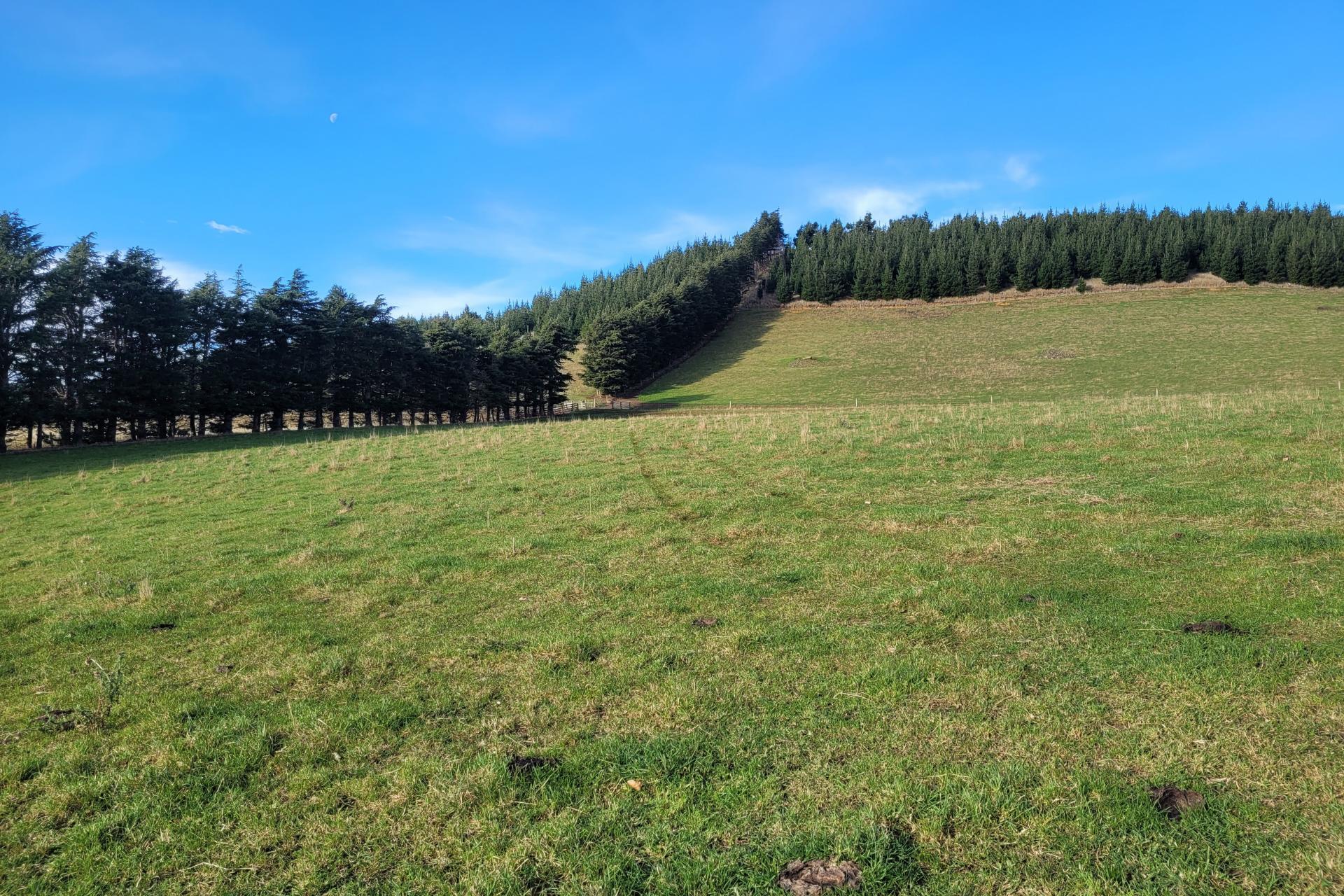2 Danseys Pass Road, Livingstone
