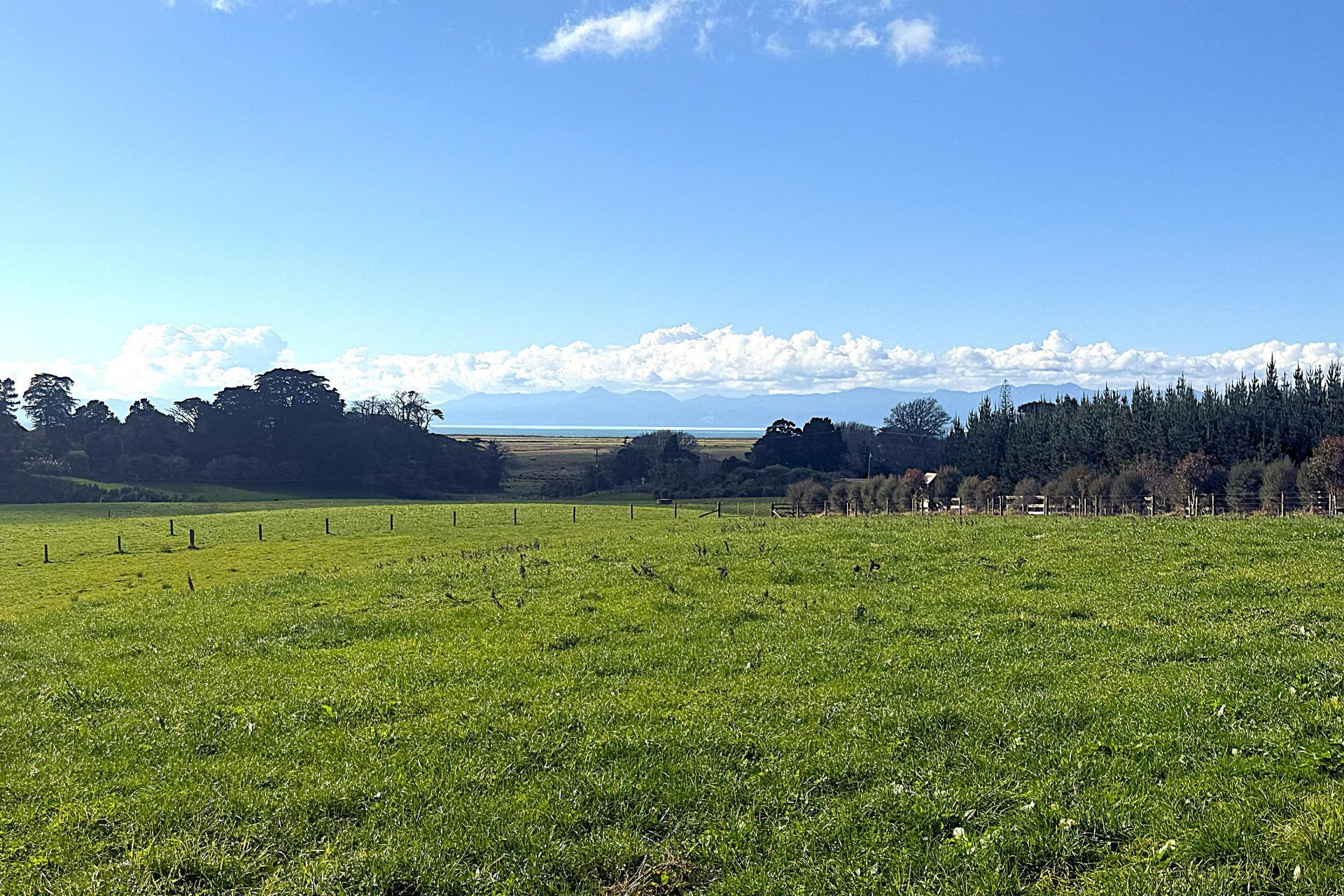 899 Findlay Road, Miranda