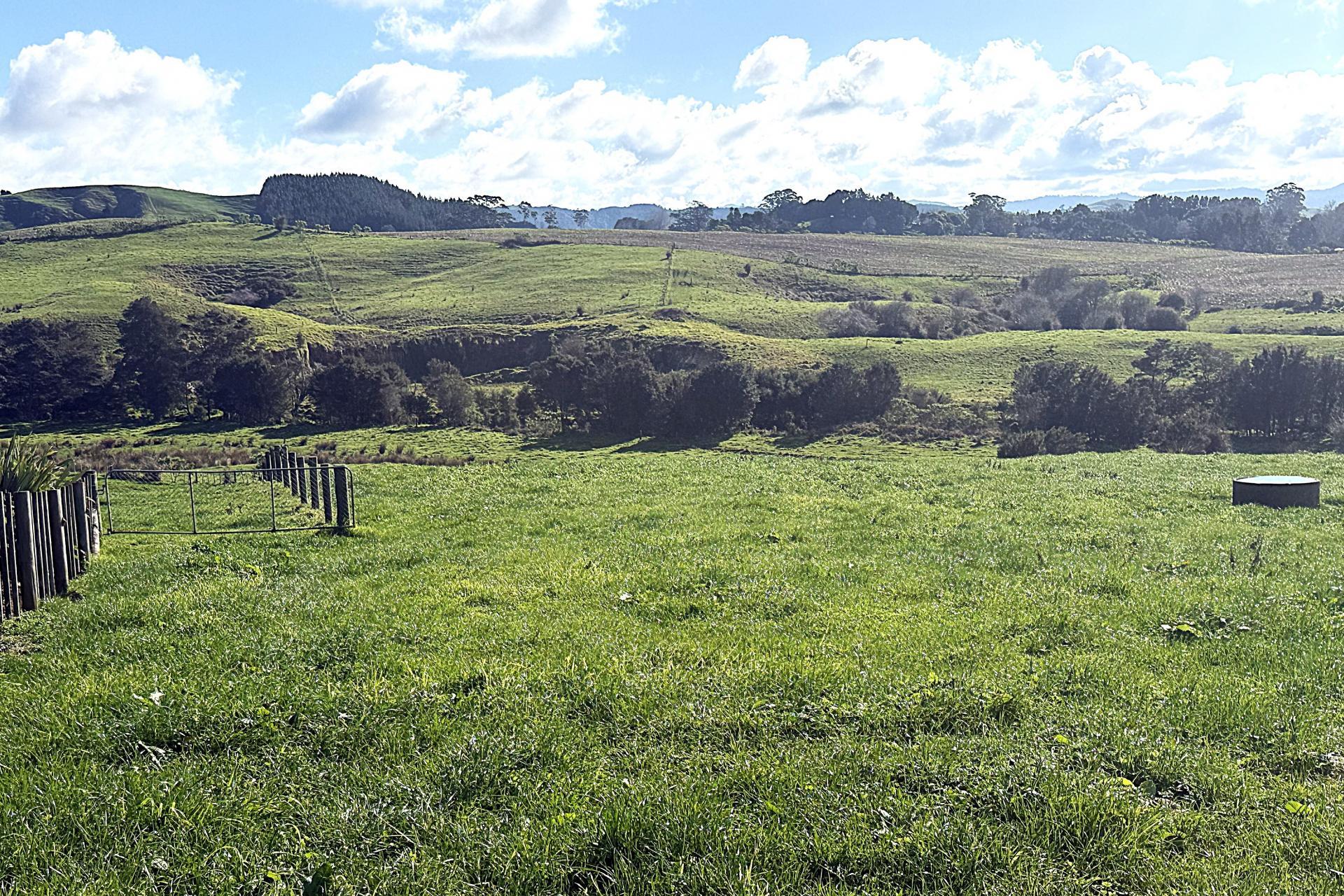 899 Findlay Road, Miranda