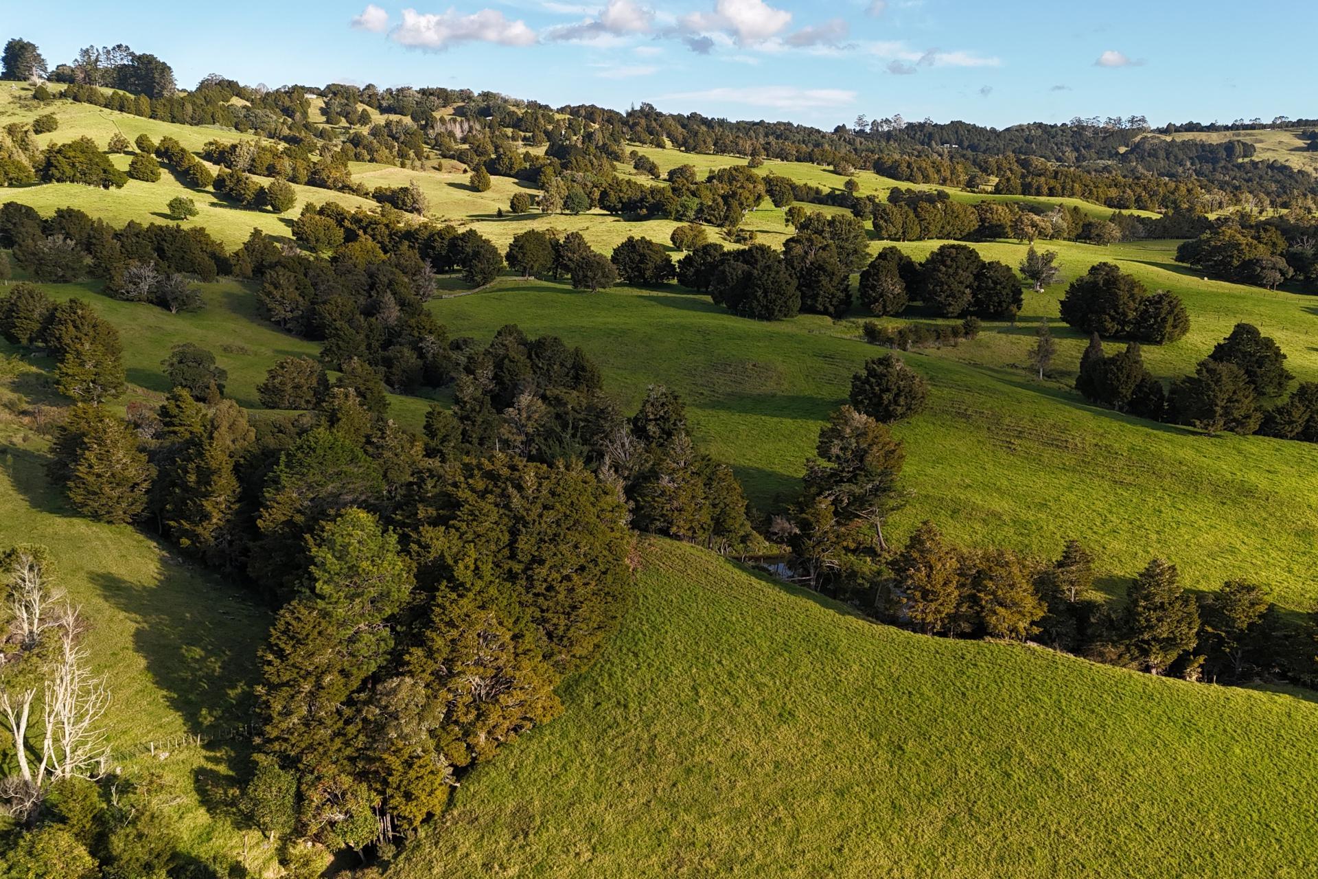1387 State Highway 1, Okaihau
