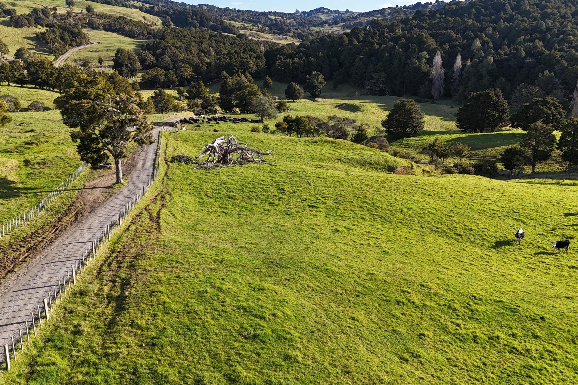 1387 State Highway 1, Okaihau