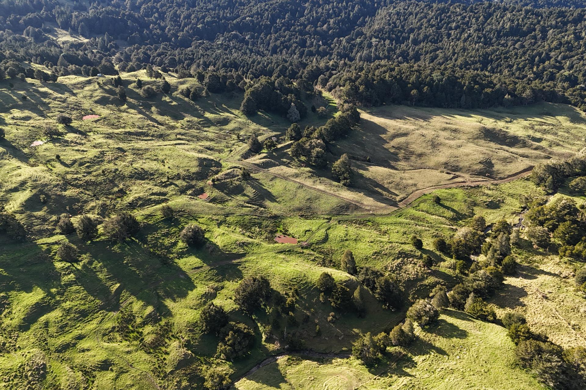 1387 State Highway 1, Okaihau