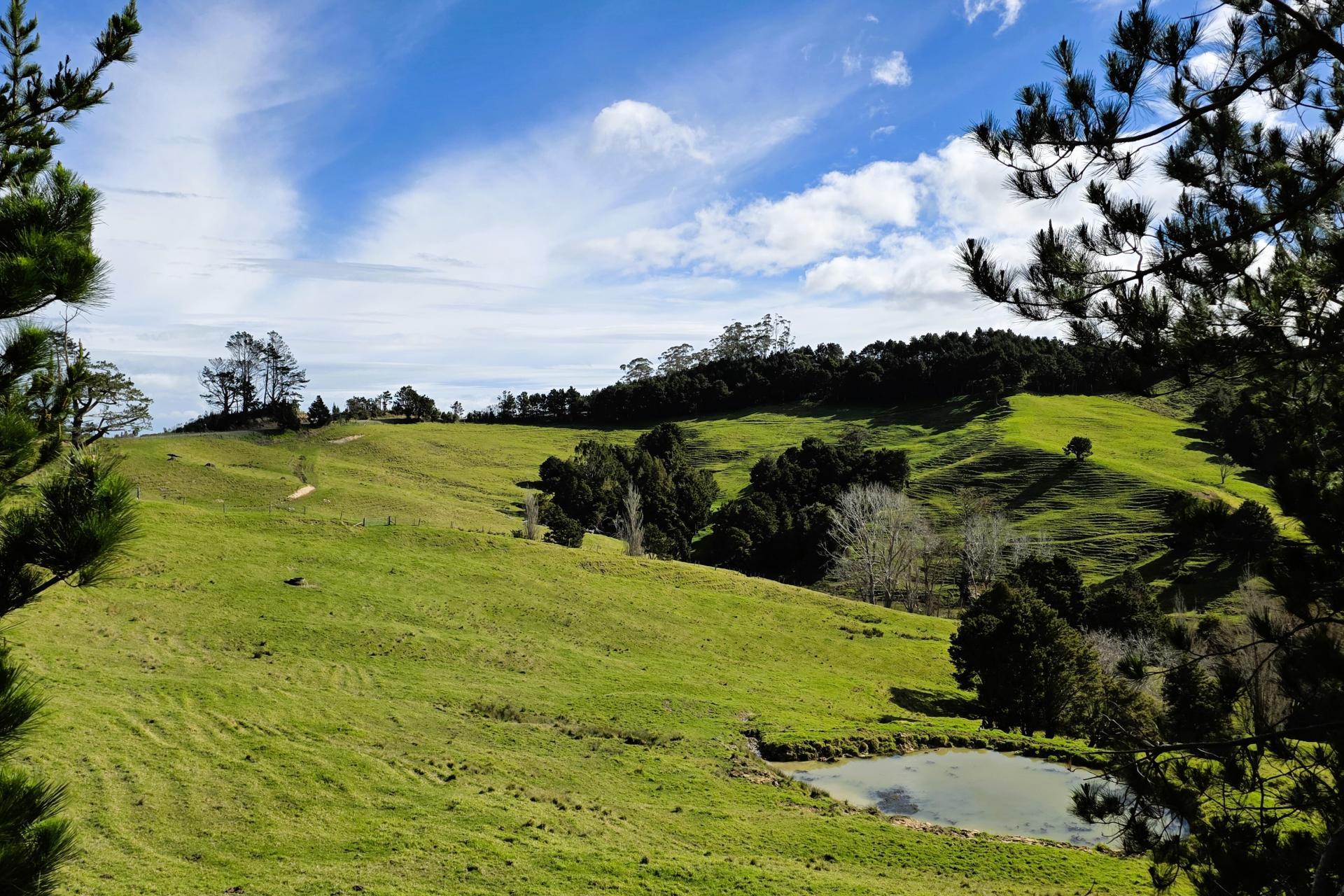 440 Arcadia Road, Maungaturoto