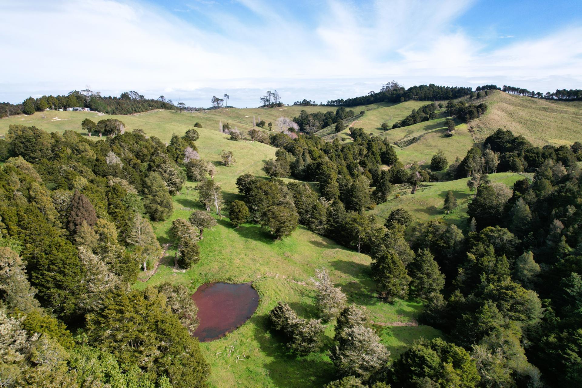 440 Arcadia Road, Maungaturoto