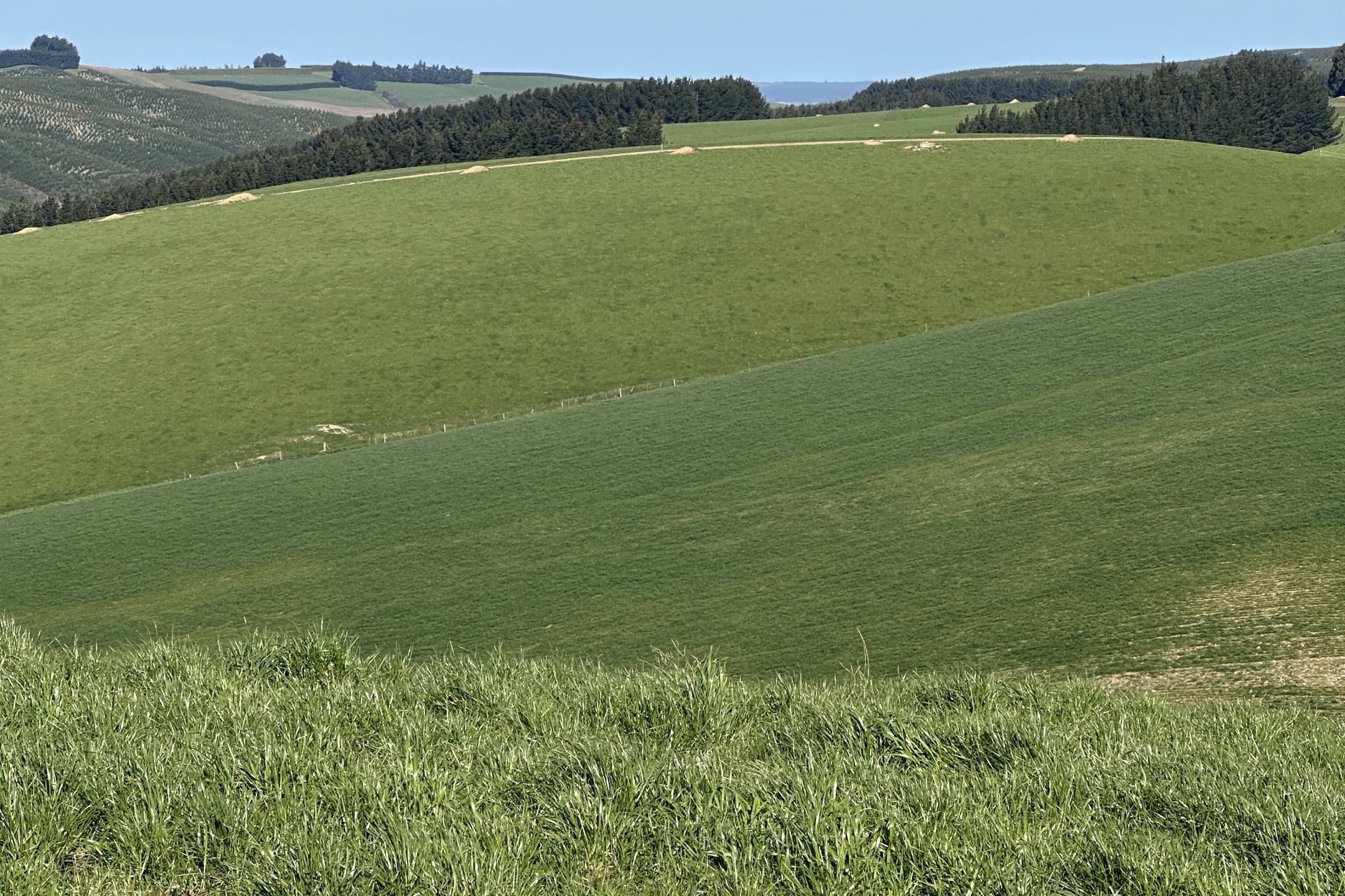 Hillend