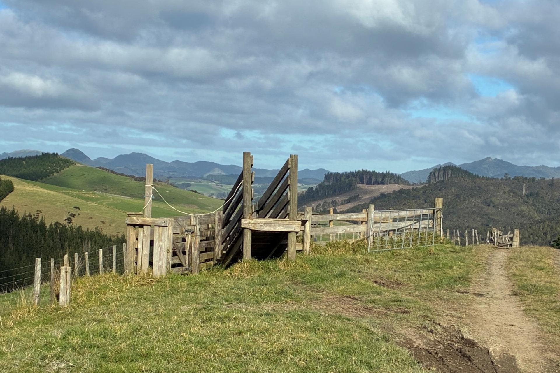 Milne Road, Purua