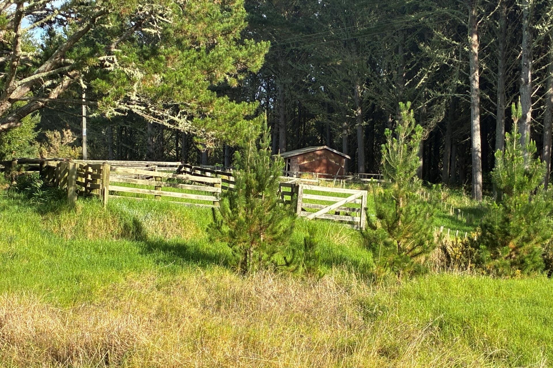Milne Road, Purua