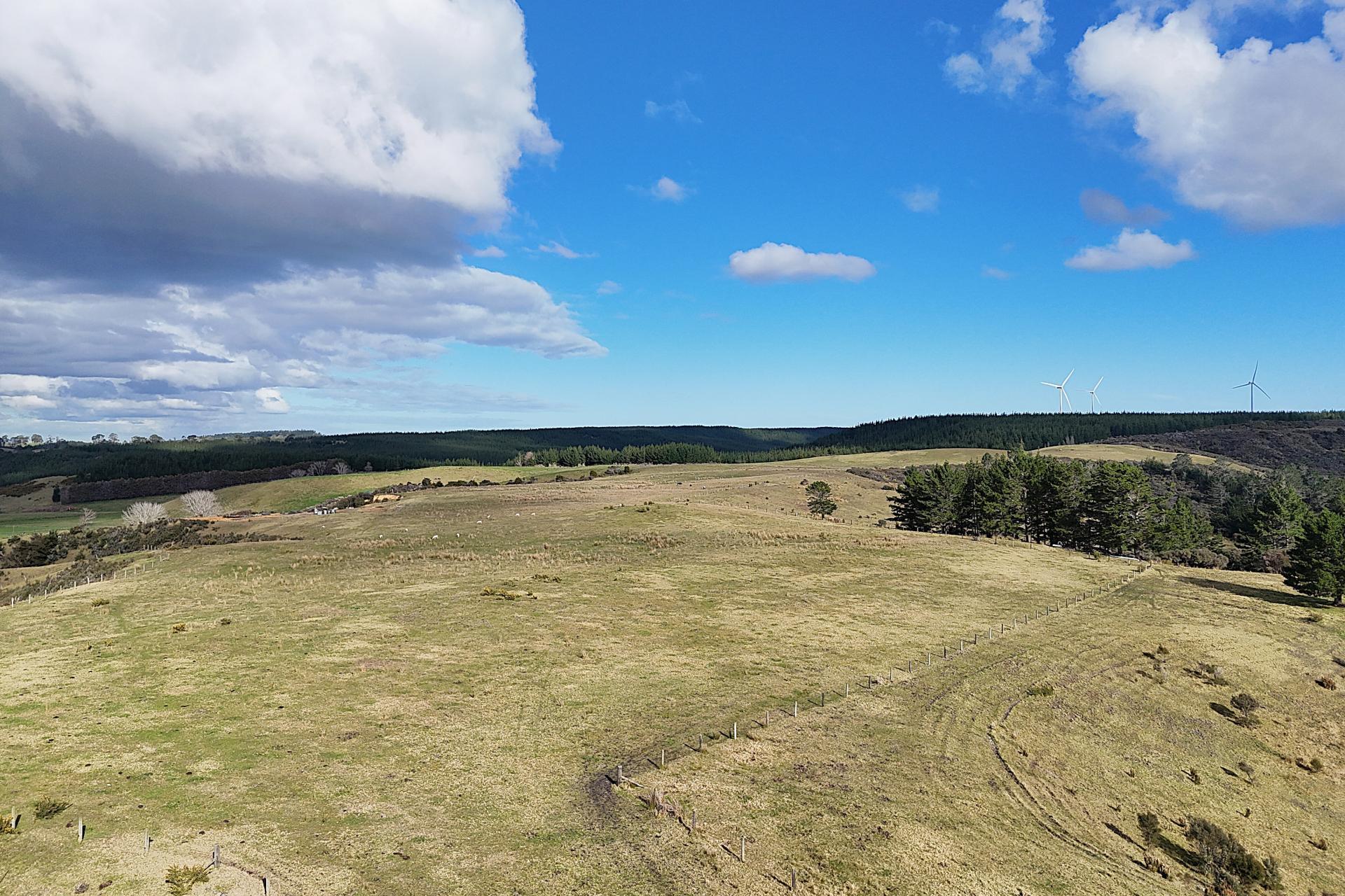 Lot 2 State Highway 12, Dargaville