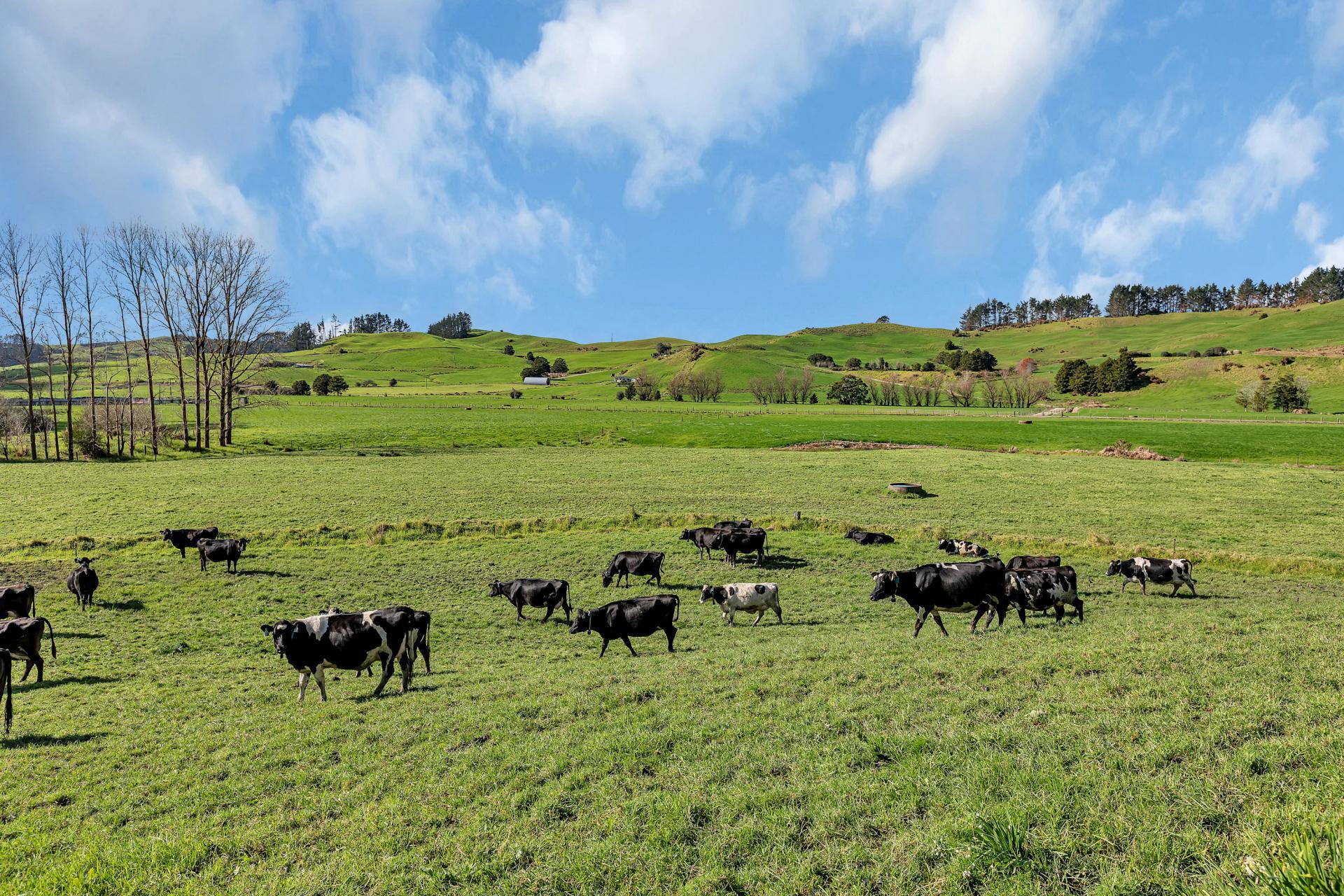 240 Otakairangi Road, Riponui