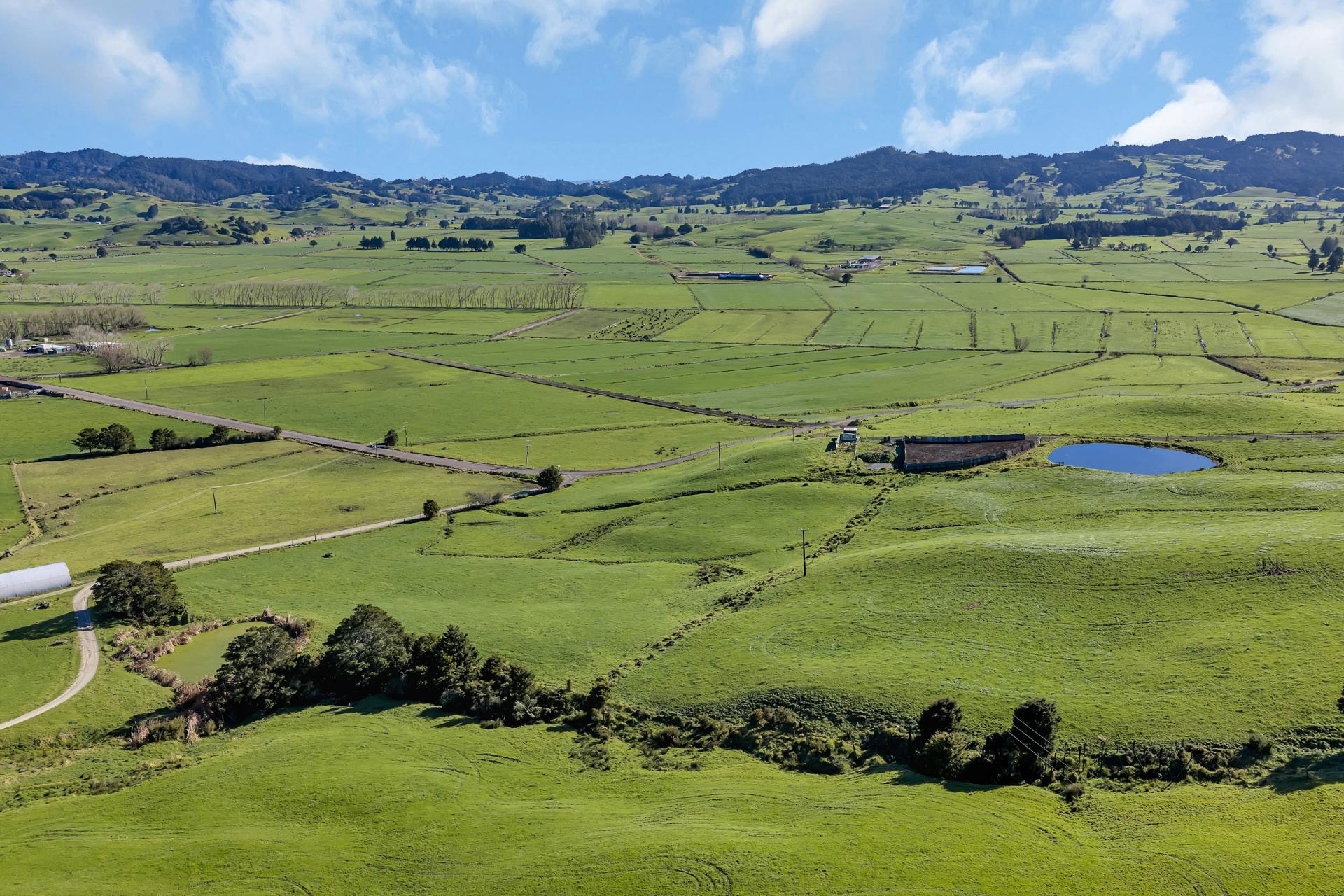 240 Otakairangi Road, Riponui