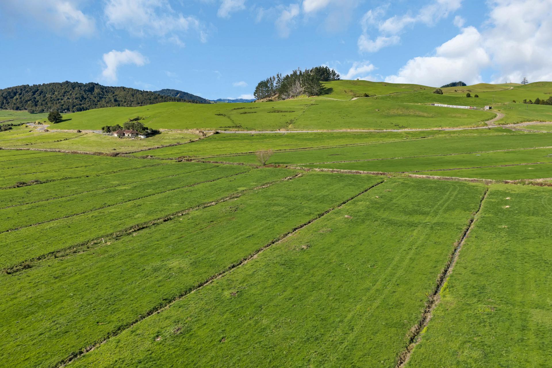 240 Otakairangi Road, Riponui
