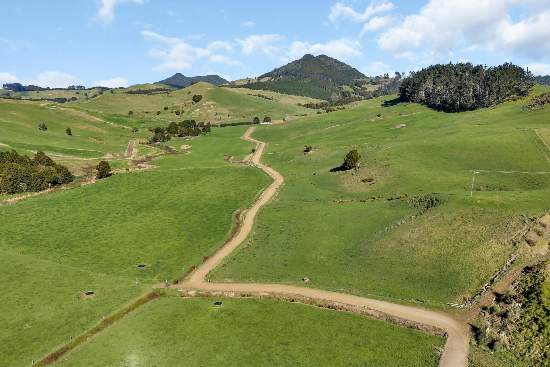 240 Otakairangi Road, Riponui