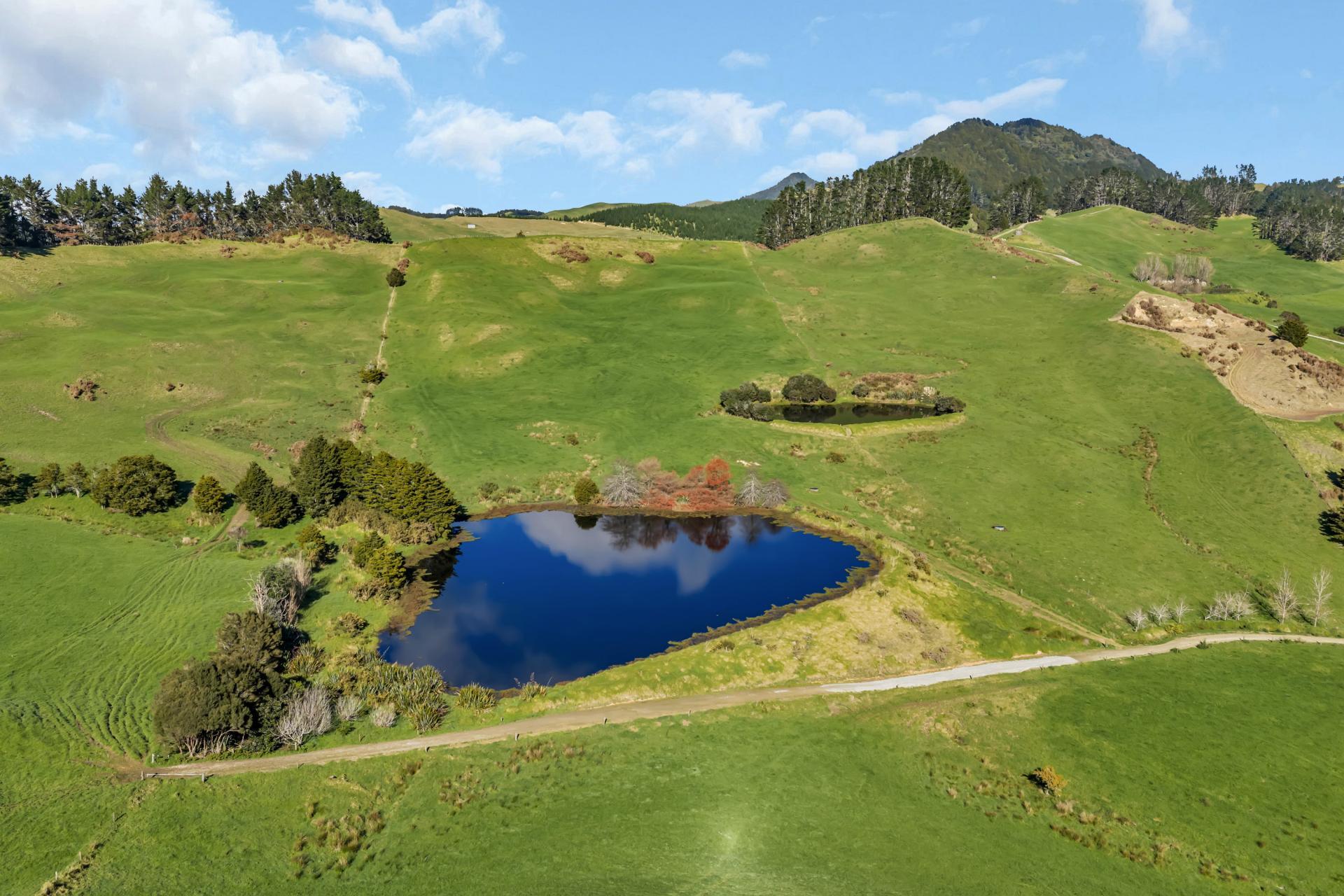 240 Otakairangi Road, Riponui