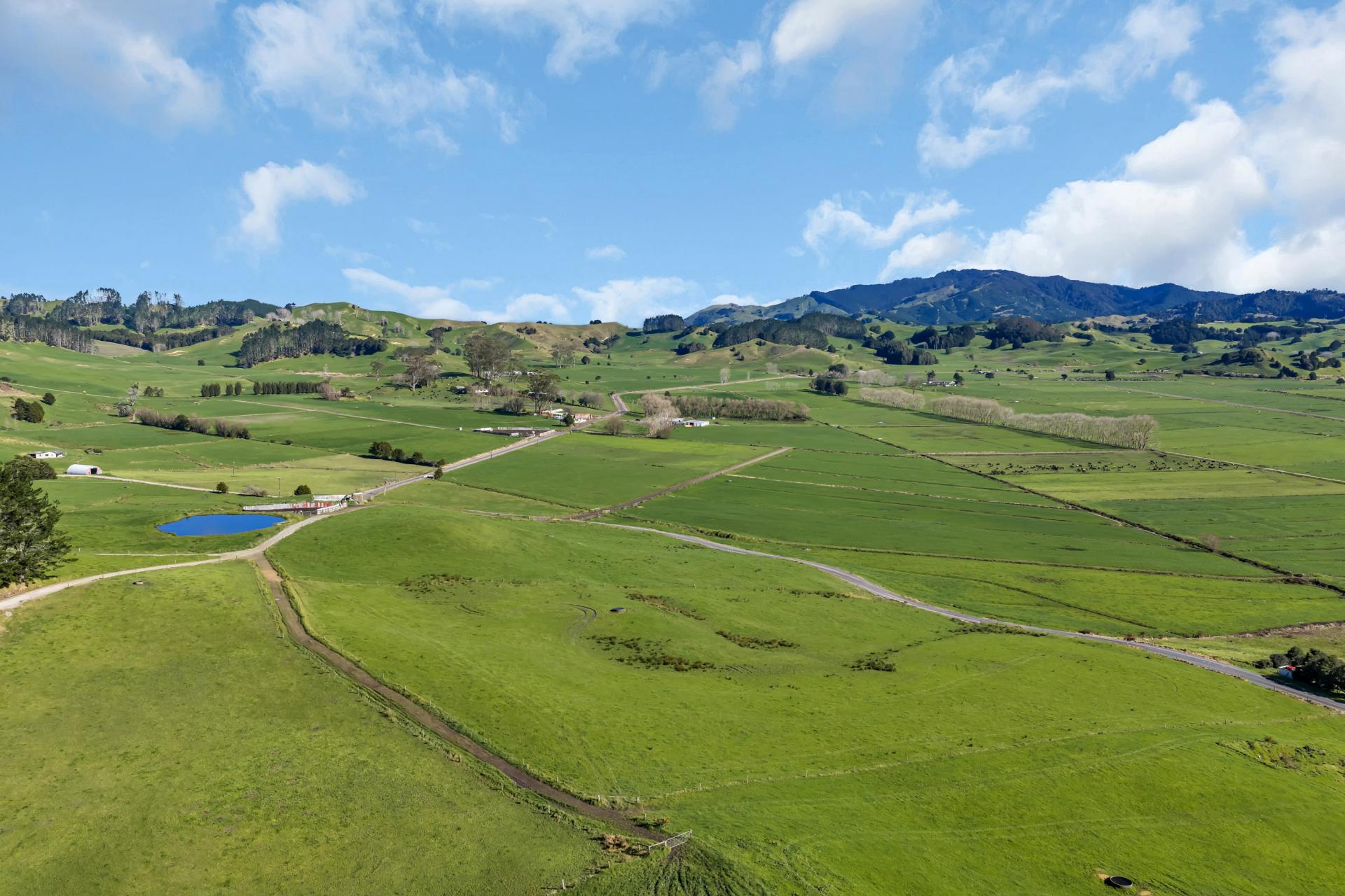 240 Otakairangi Road, Riponui