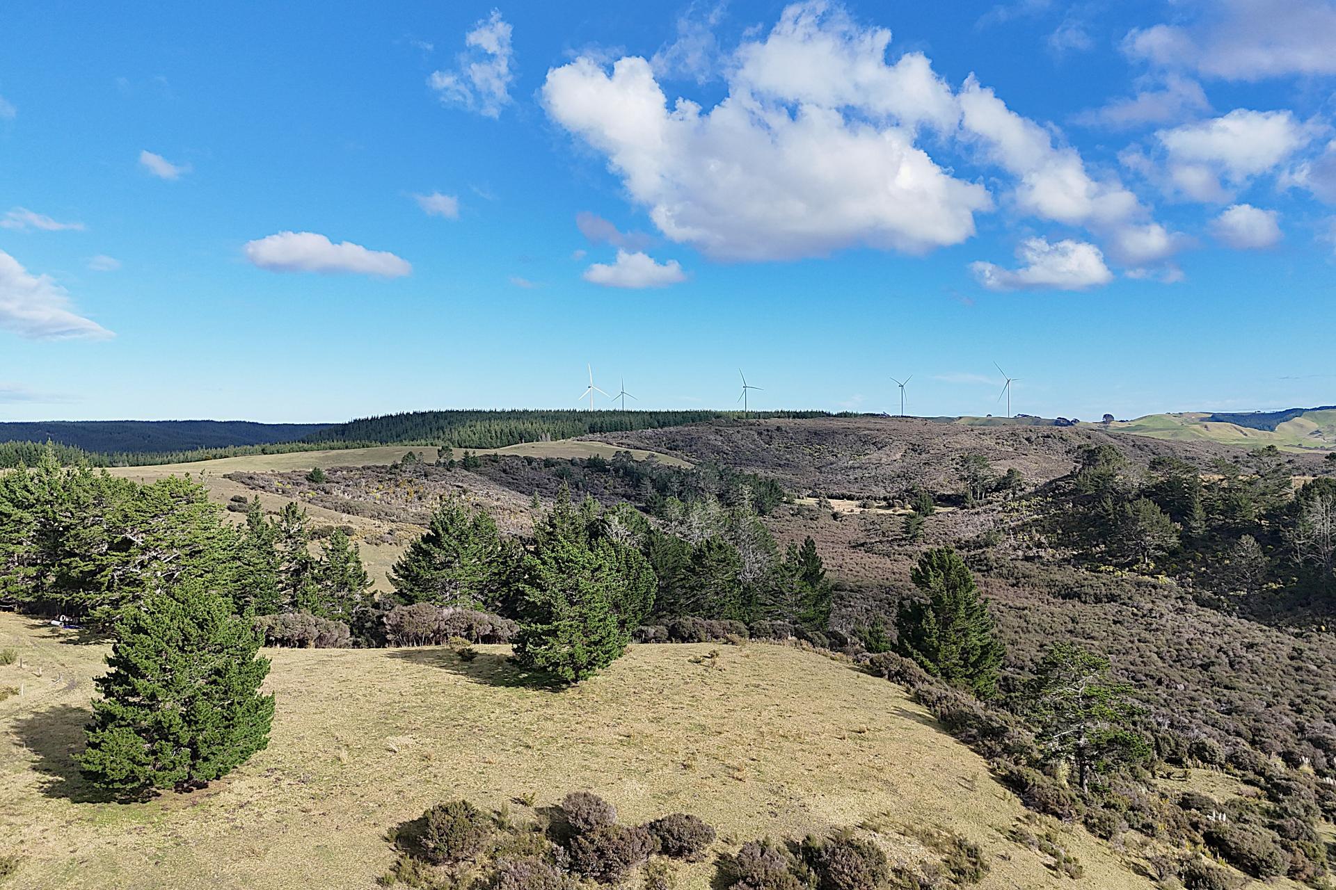 Lot 1 State Highway 12, Dargaville