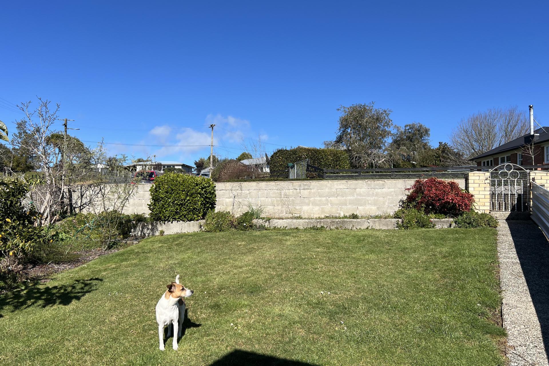 46 Kea Street, Piopio
