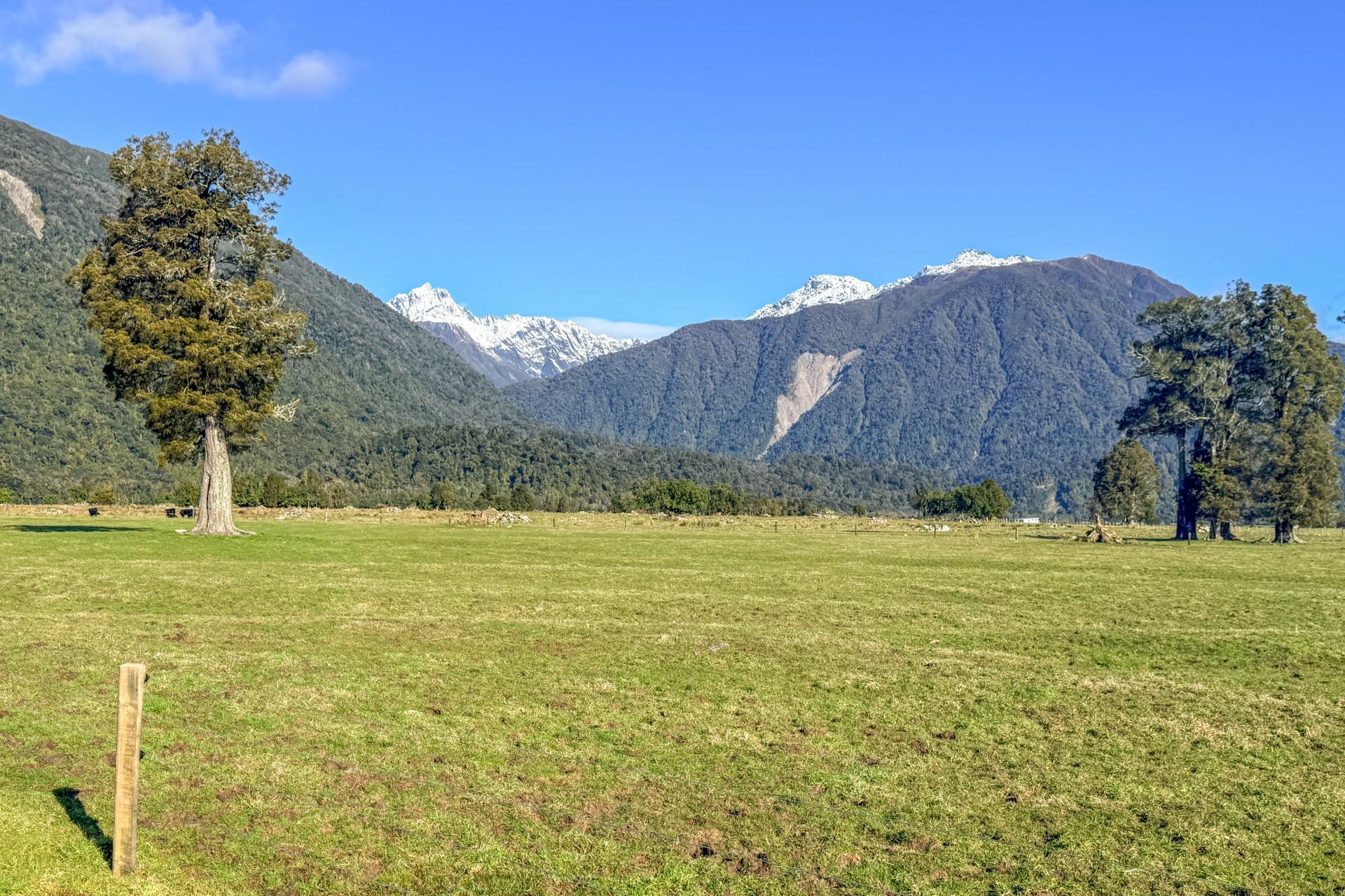 288 State Highway 6, Fox Glacier