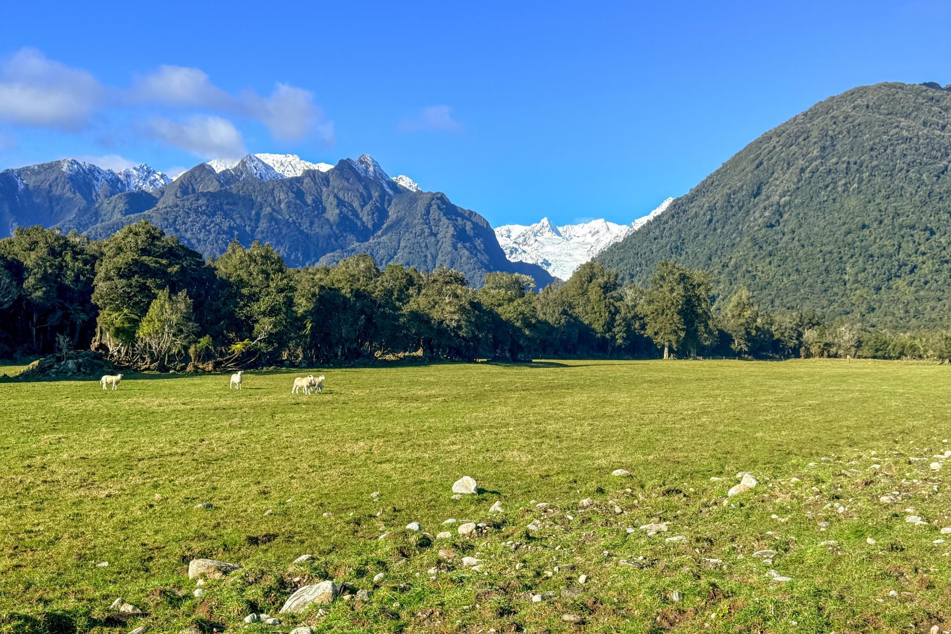 288 State Highway 6, Fox Glacier