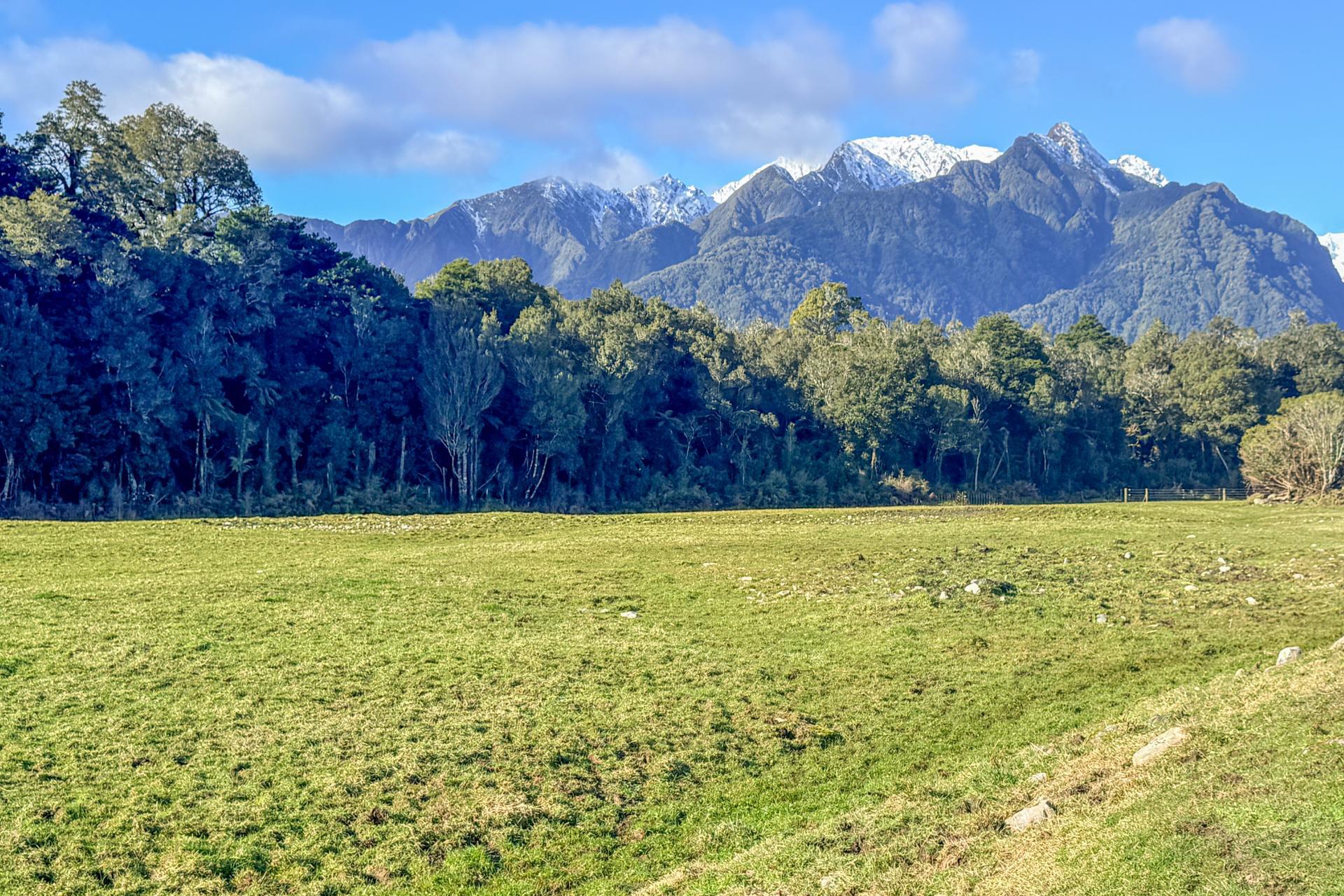 288 State Highway 6, Fox Glacier