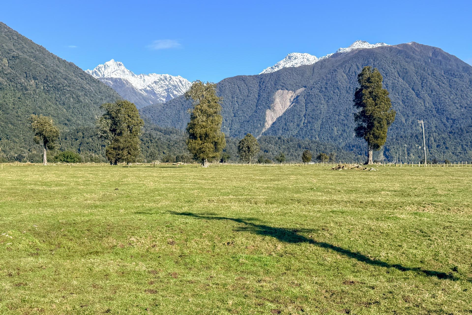 288 State Highway 6, Fox Glacier