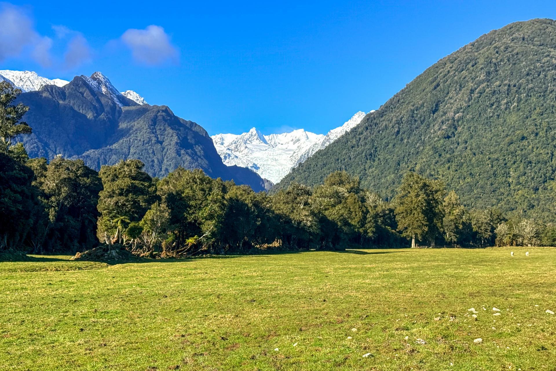 288 State Highway 6, Fox Glacier