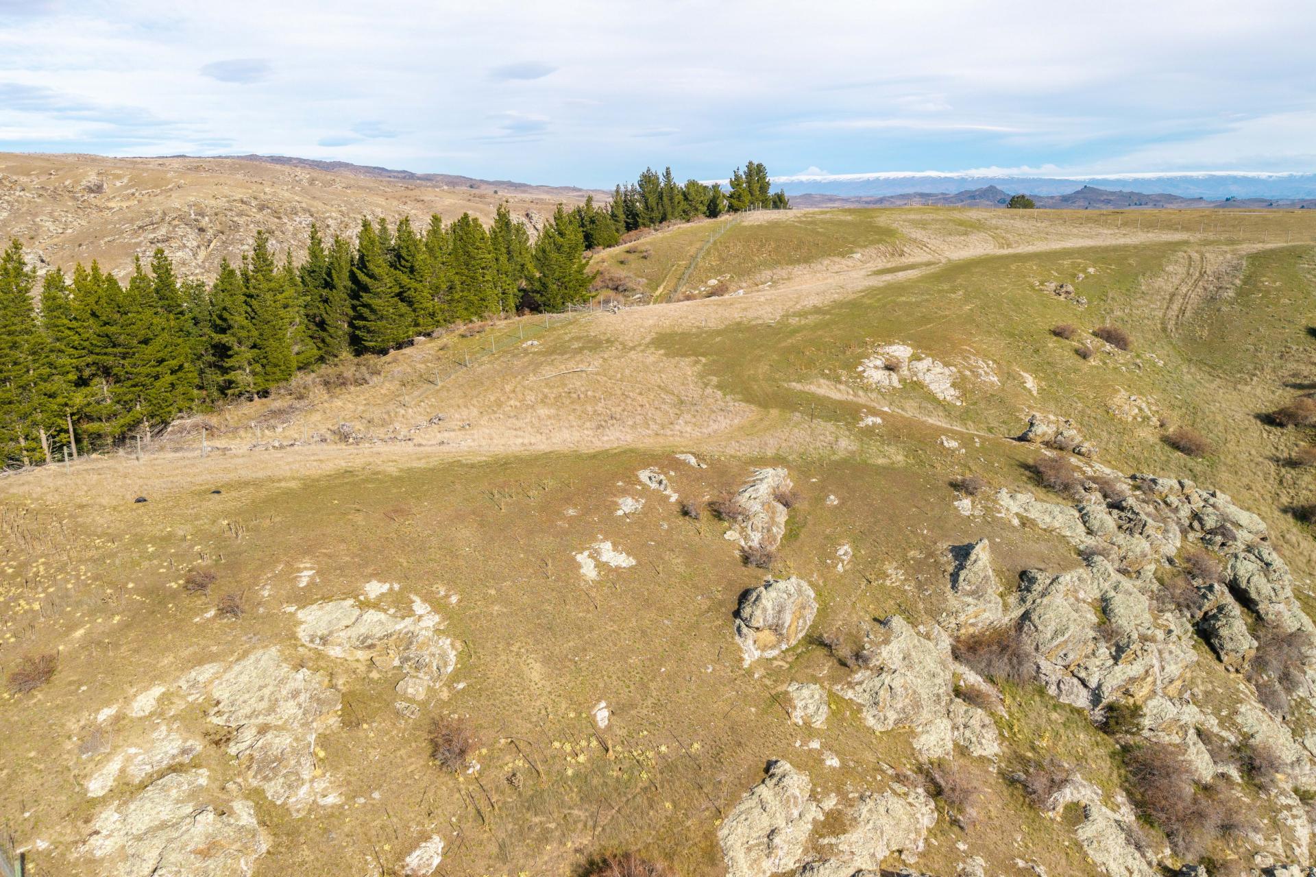 Lauder-Omakau Road, Lauder