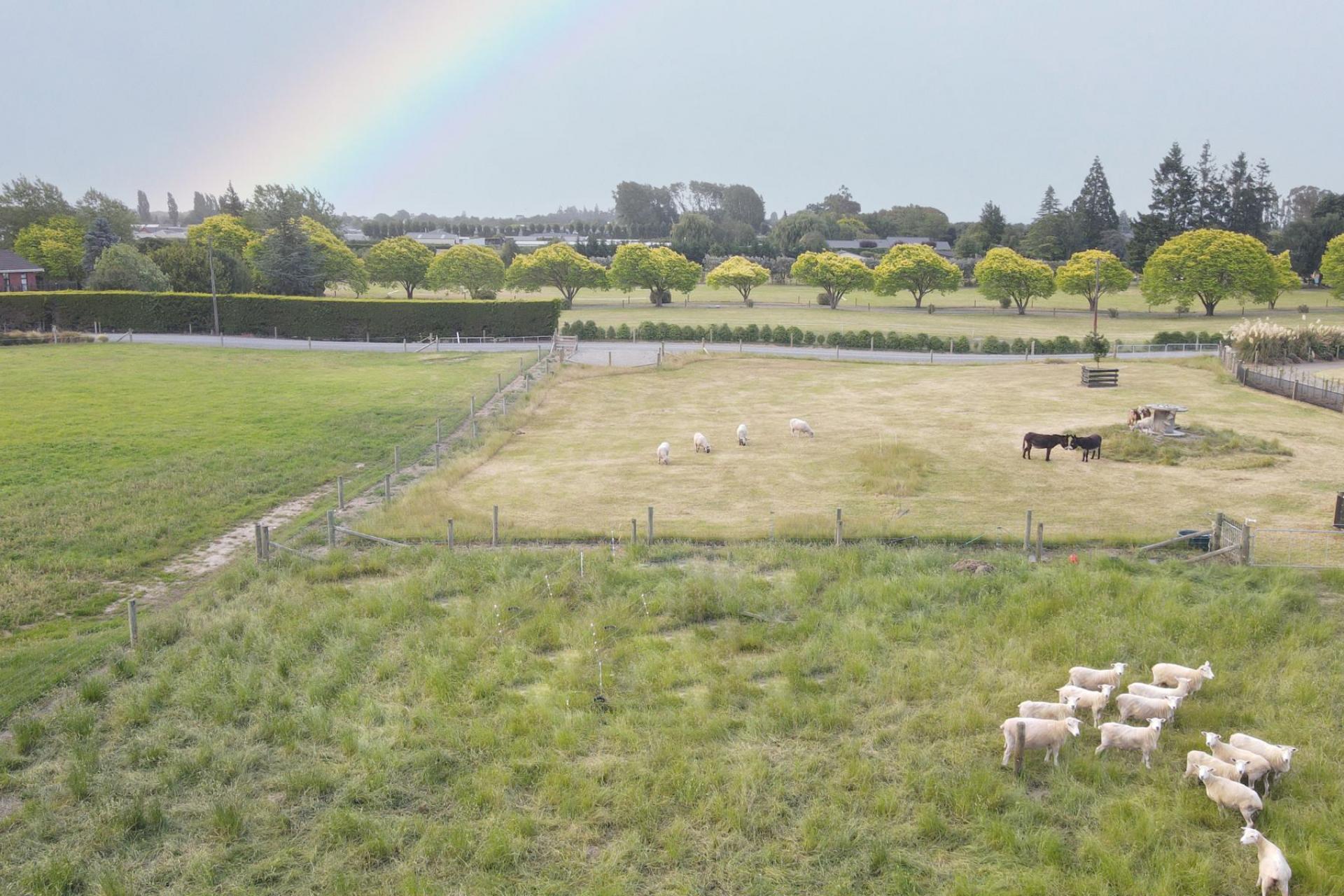 Lot 2, 148 Wakanui Road, Elgin