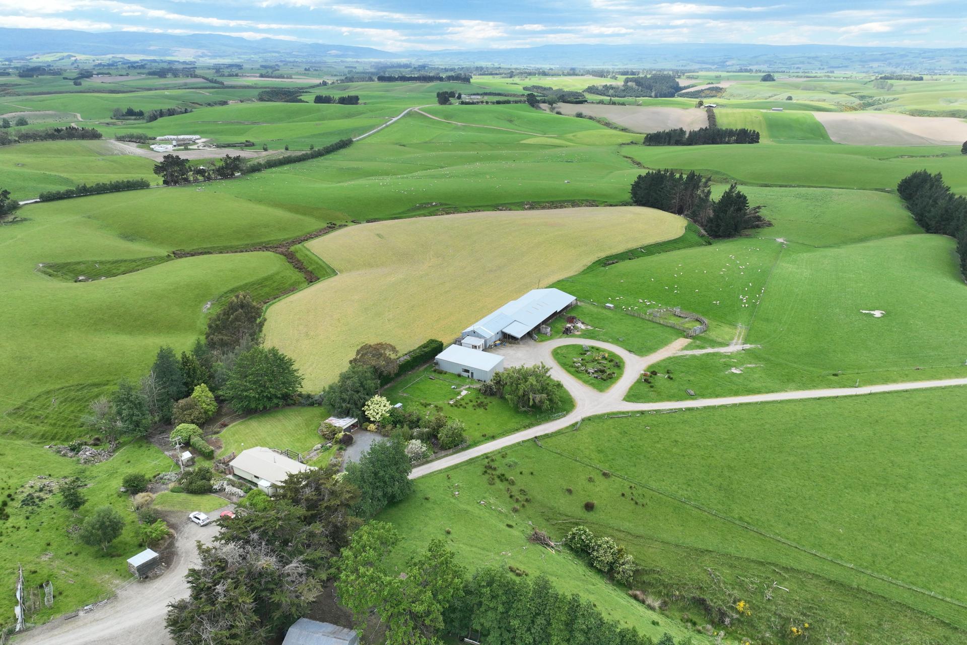Ashley Downs