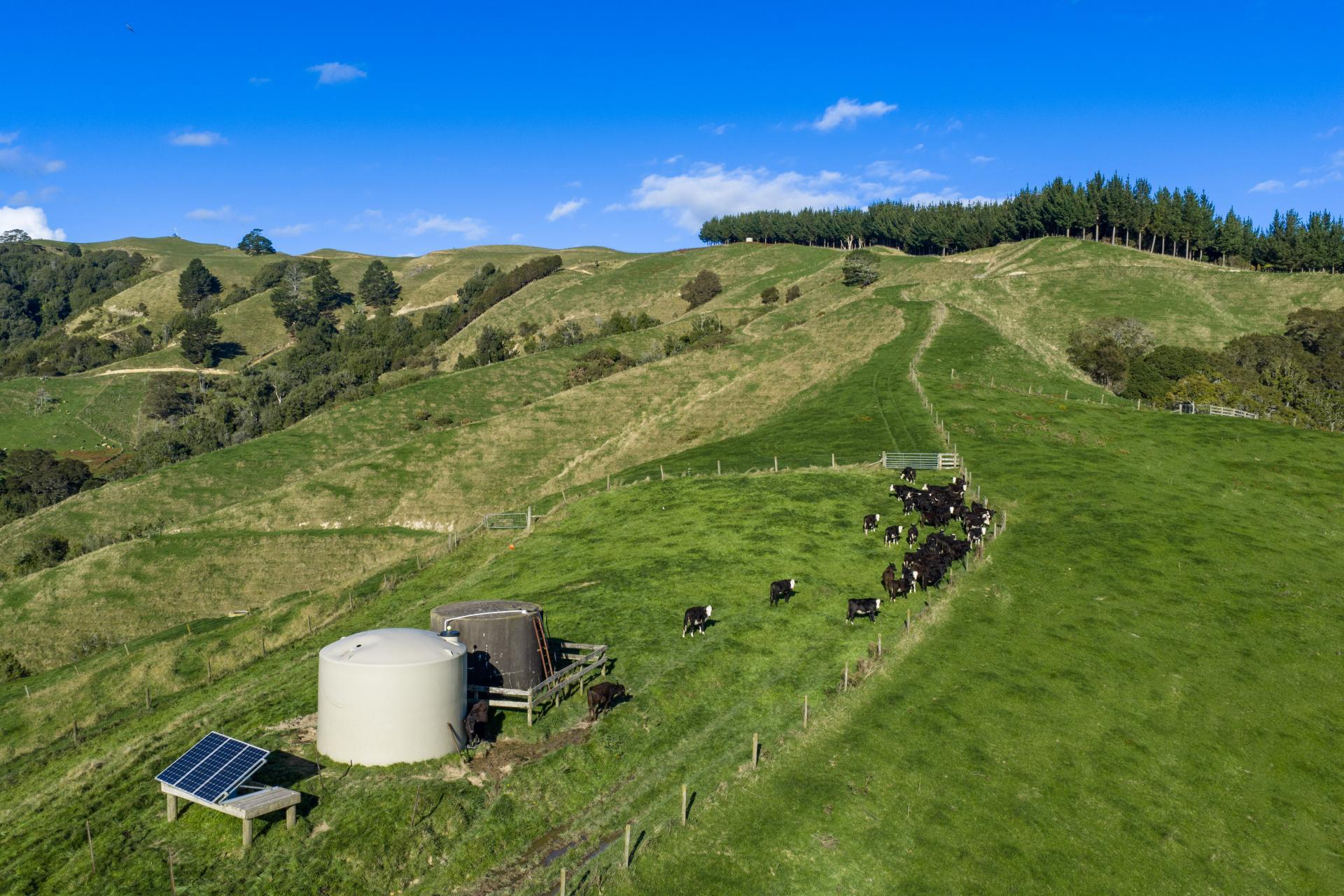 363 Grice Road, Rotoorangi