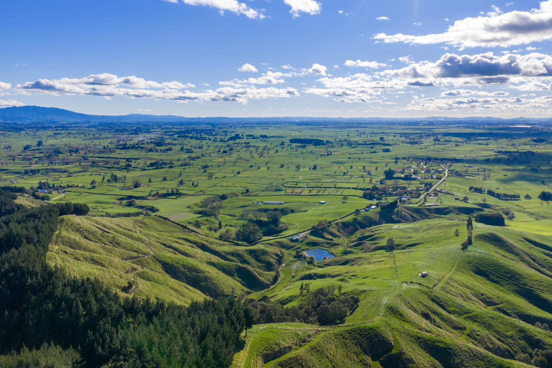 363 Grice Road, Rotoorangi