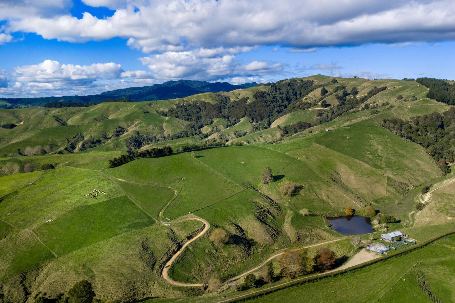 363 Grice Road, Rotoorangi