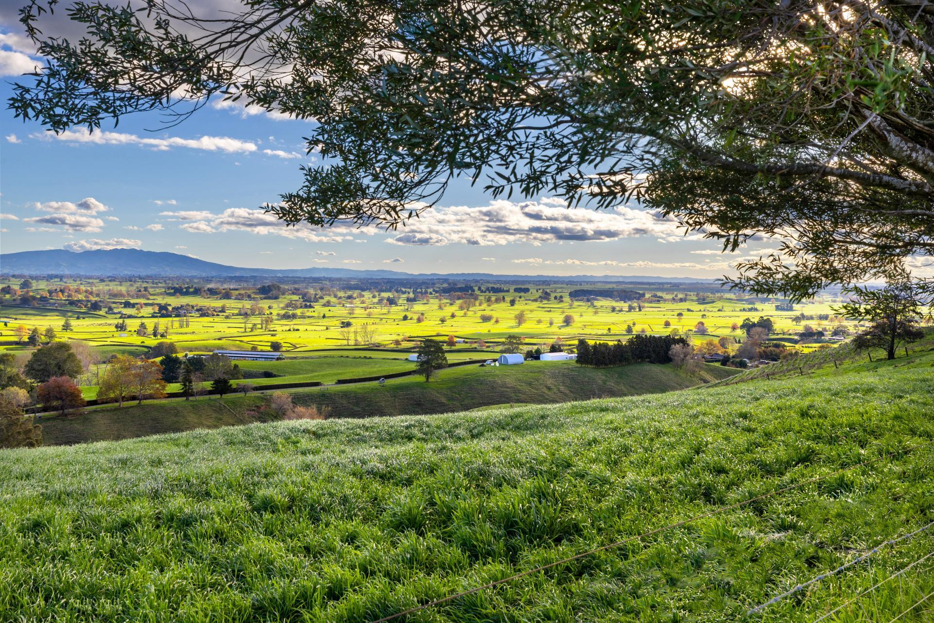 363 Grice Road, Rotoorangi