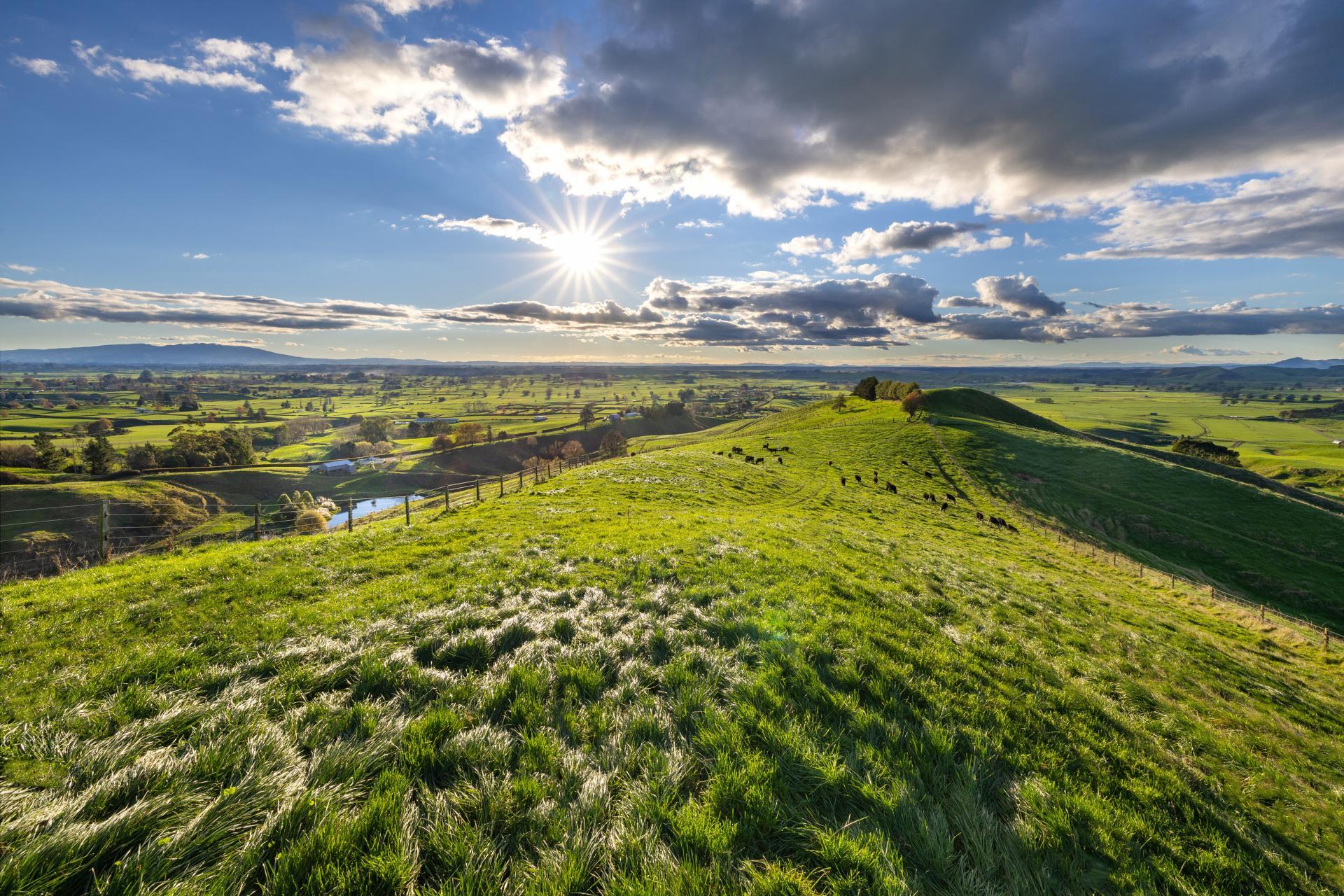 363 Grice Road, Rotoorangi