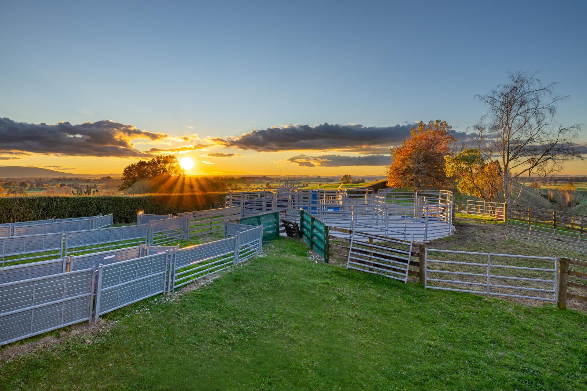 363 Grice Road, Rotoorangi