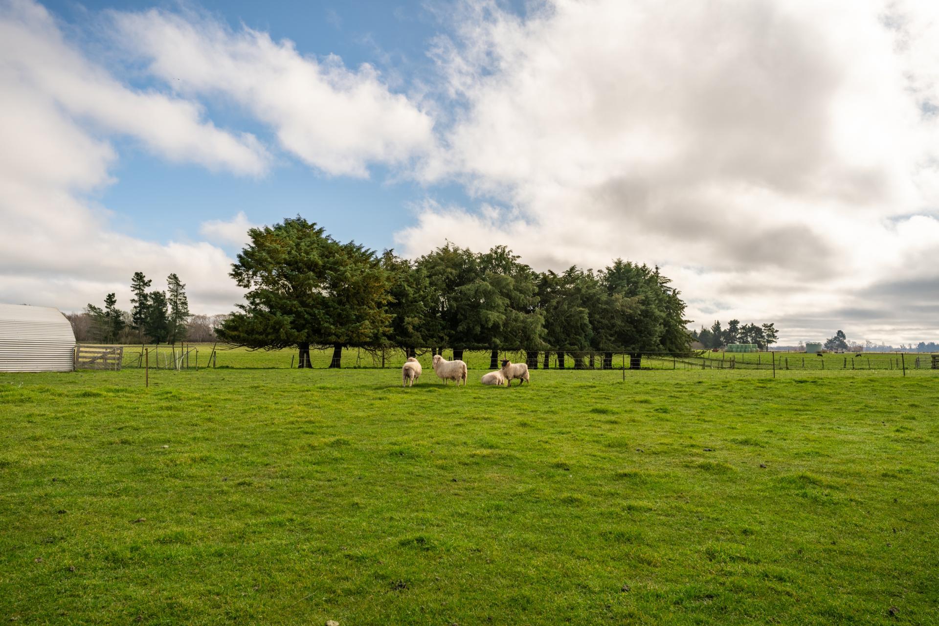 179 Temuka Orari Highway, Temuka