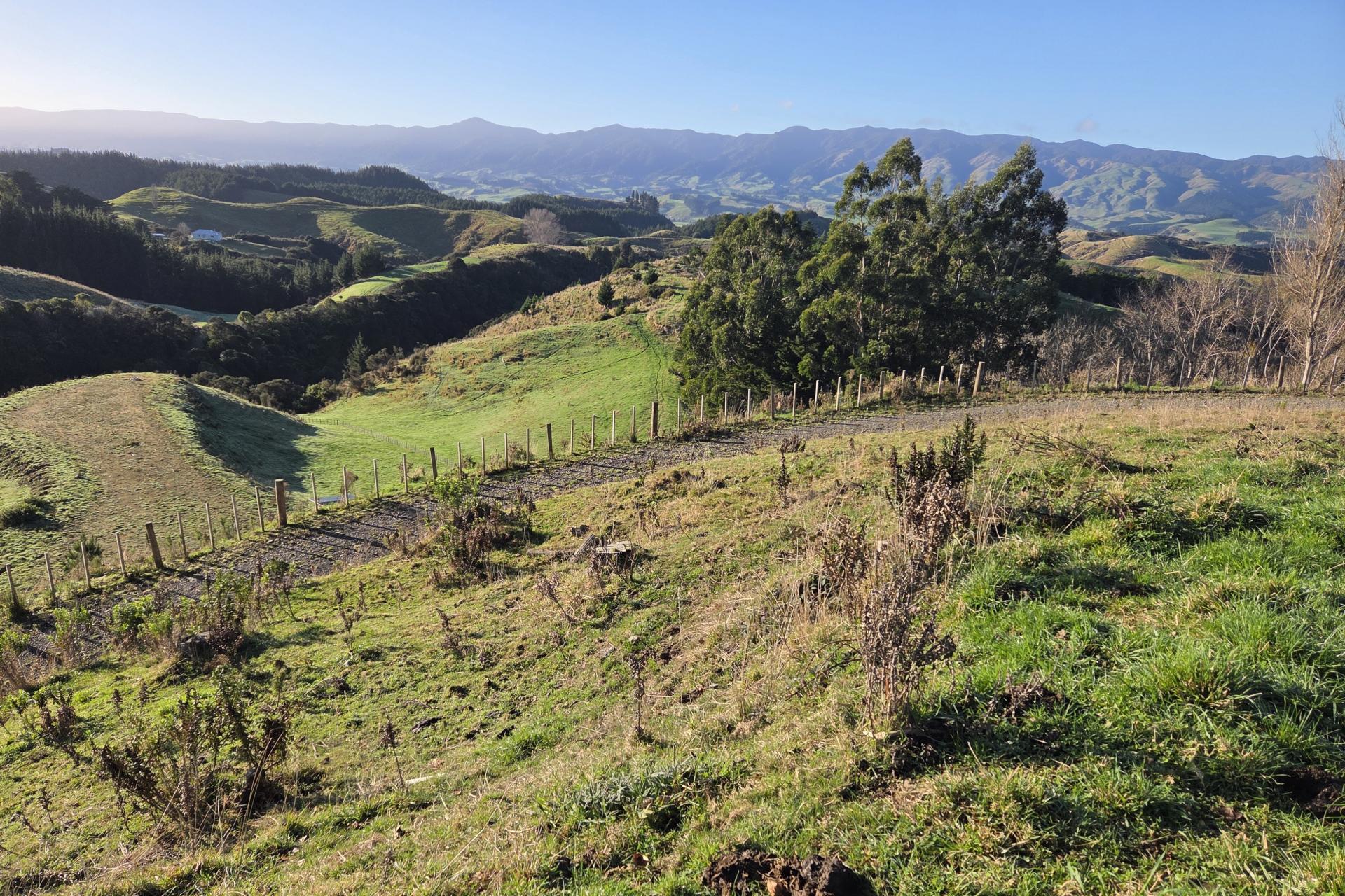 515 Zigzag Road, Ashhurst