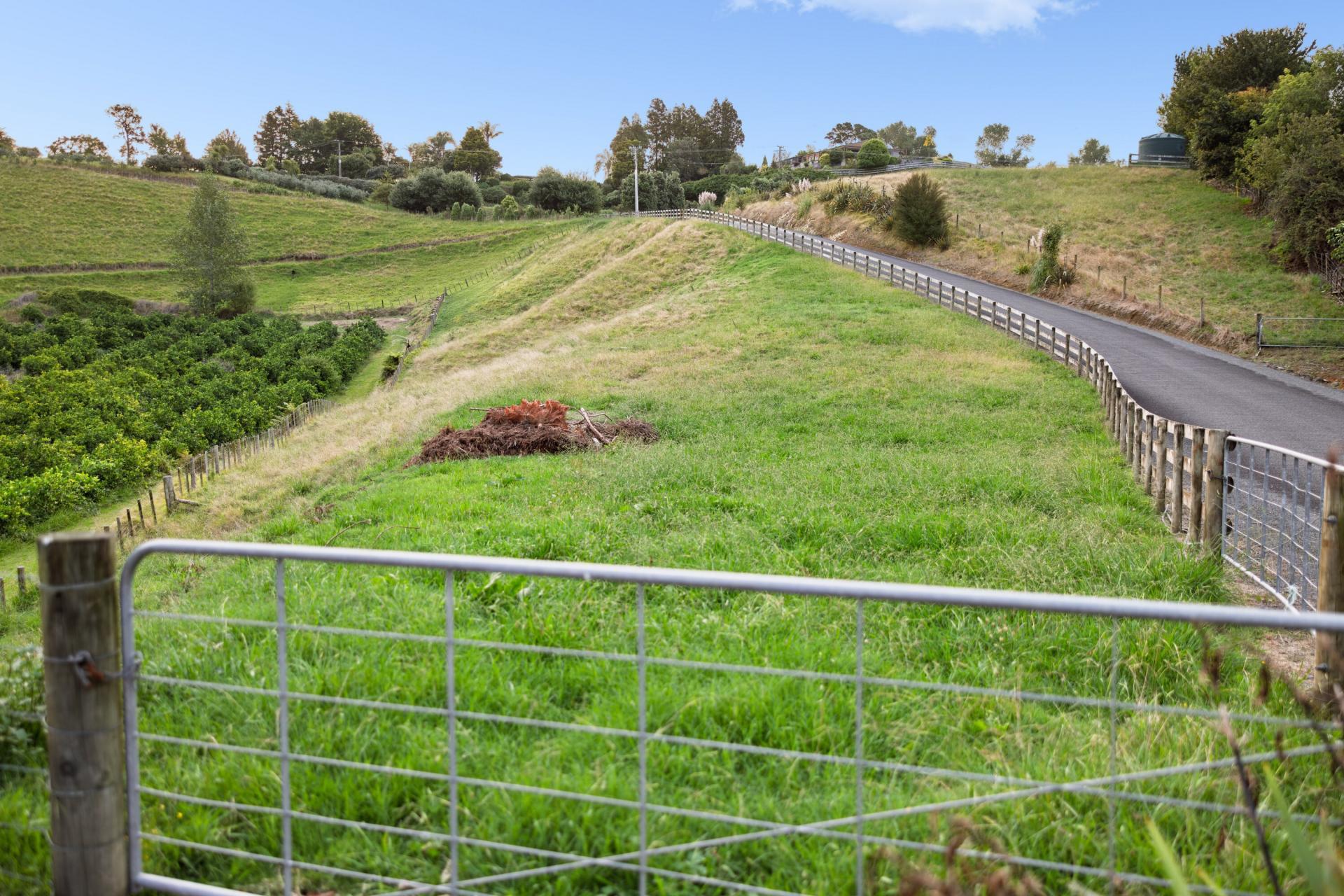 145A Whakamarama Road, Whakamarama