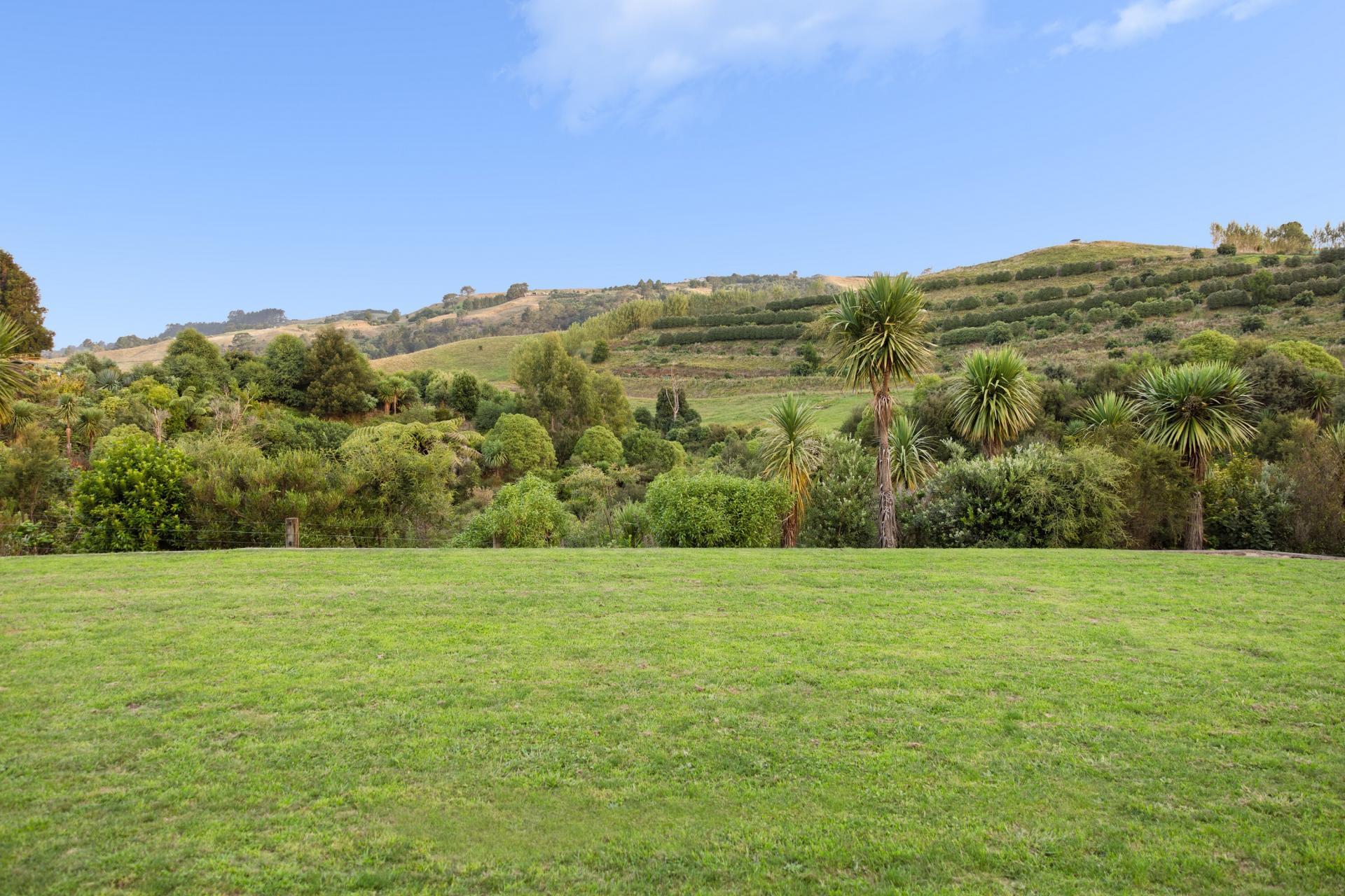 145A Whakamarama Road, Whakamarama