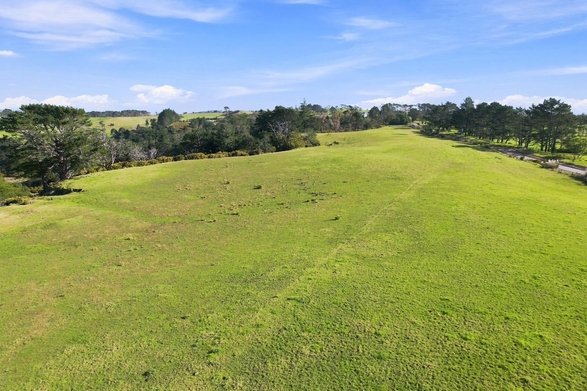 113 Tatarariki Spur Road, Te Kopuru