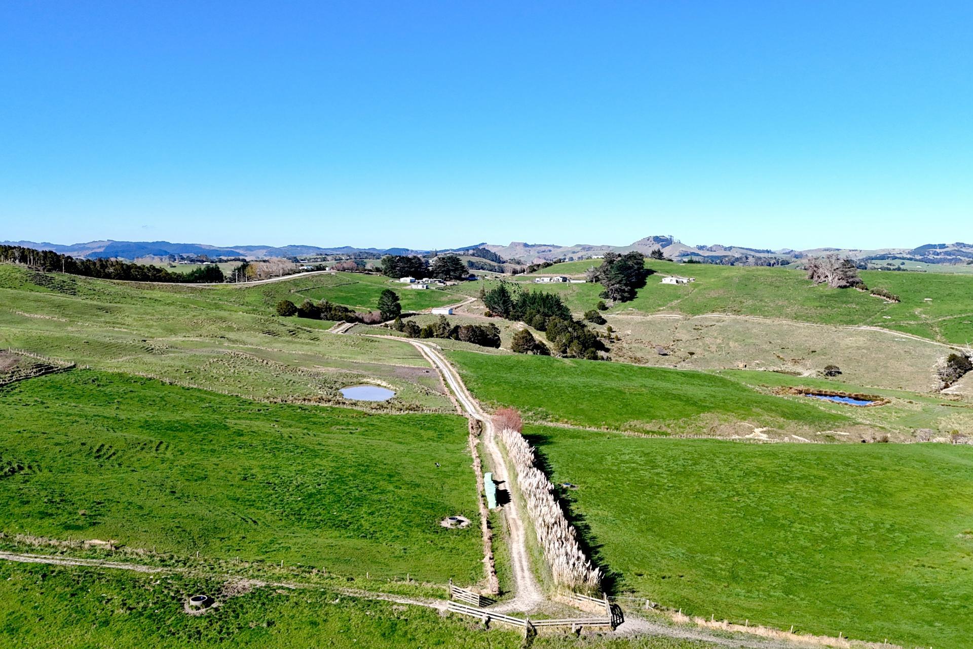 115 Biddle Road, Wellsford