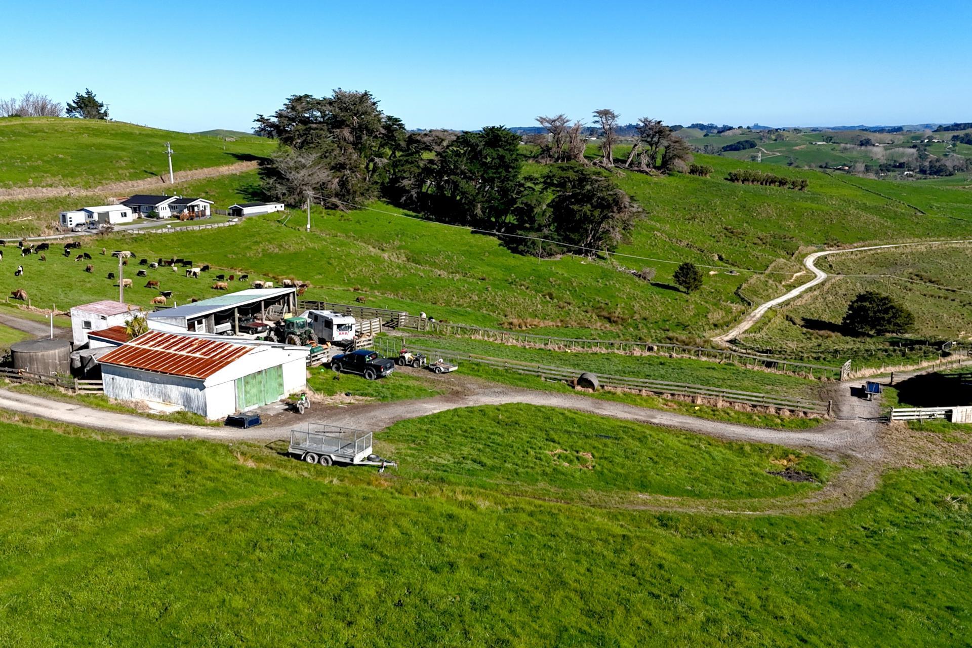 115 Biddle Road, Wellsford
