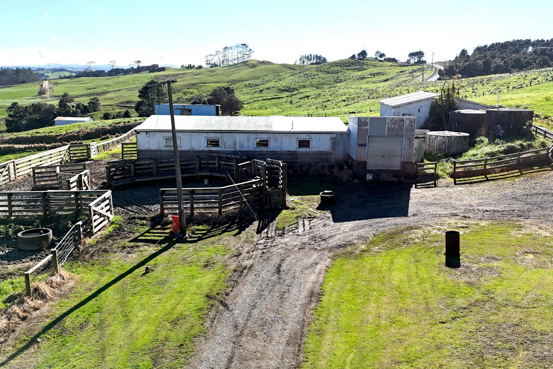 115 Biddle Road, Wellsford