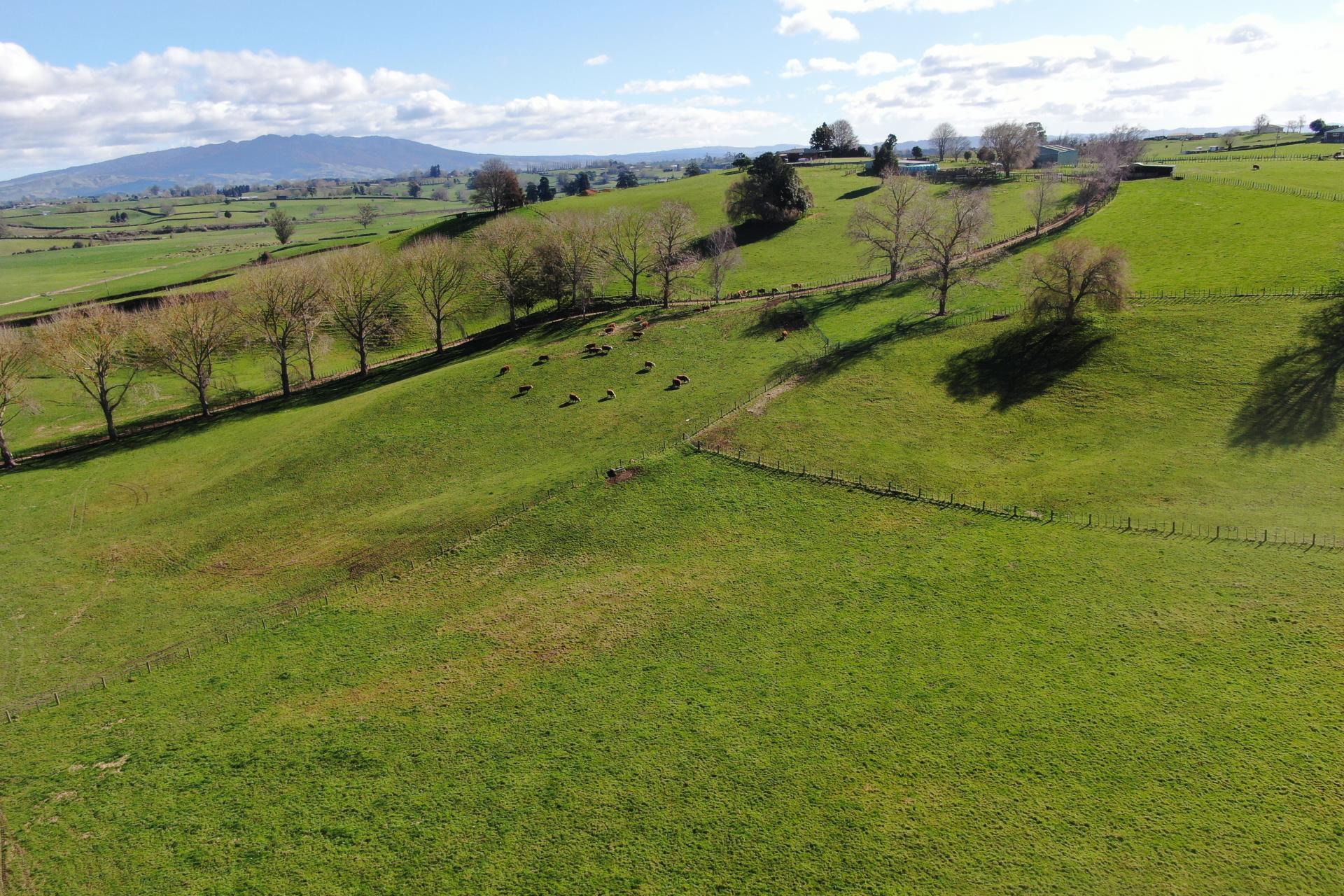 2/4798 Ohaupo Road, Te Awamutu