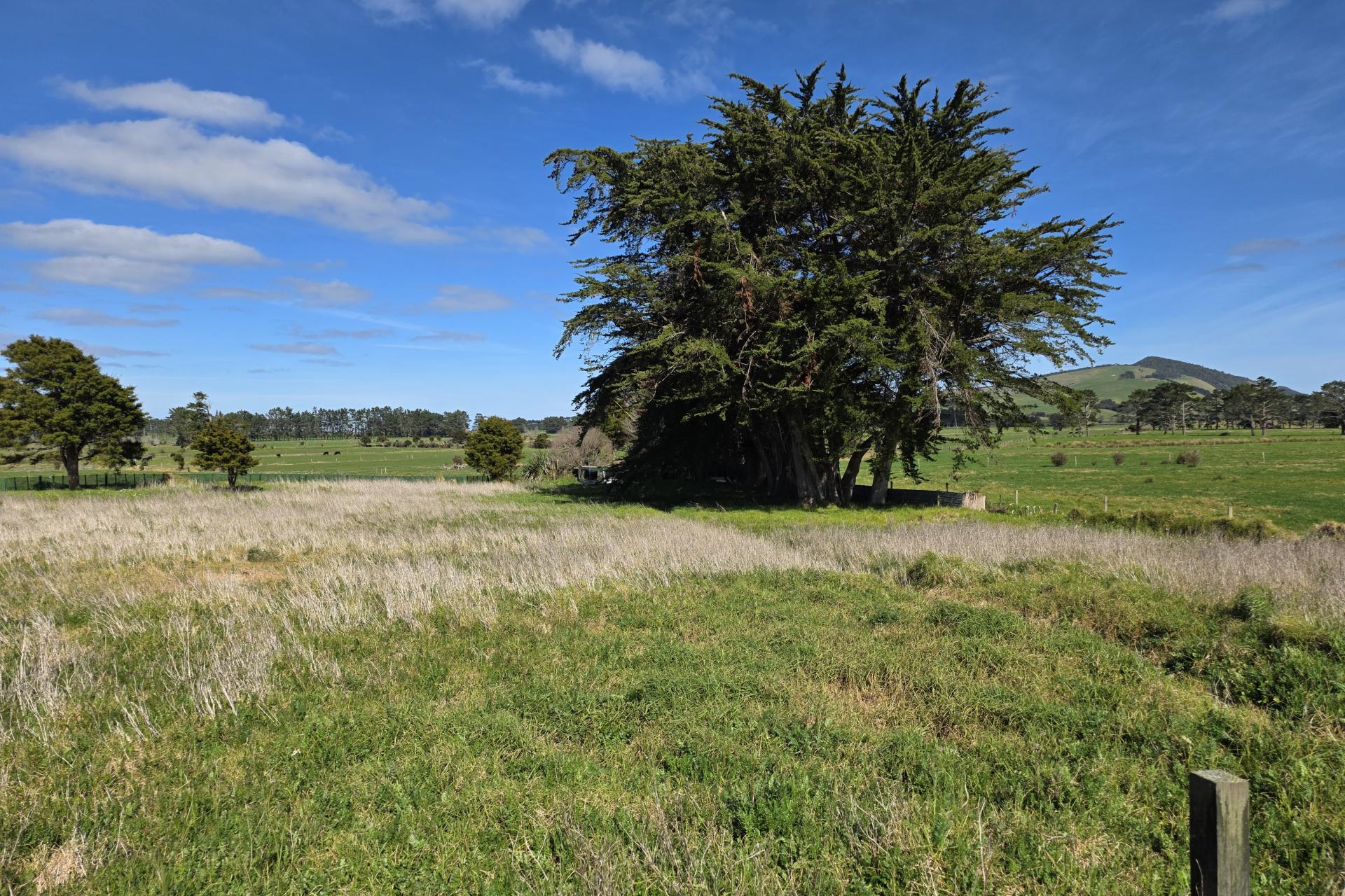 3945 State Highway 12, Aranga