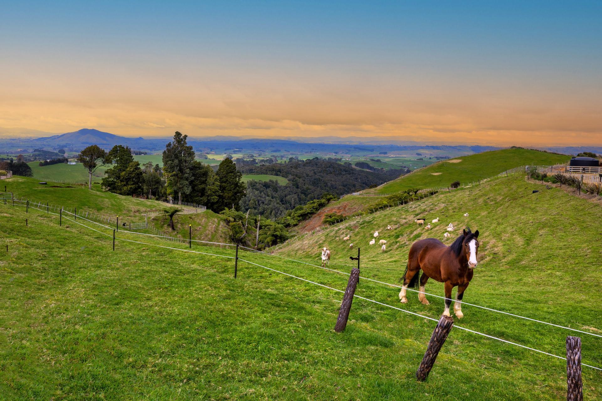 412 Pekanui Road, Puketotara
