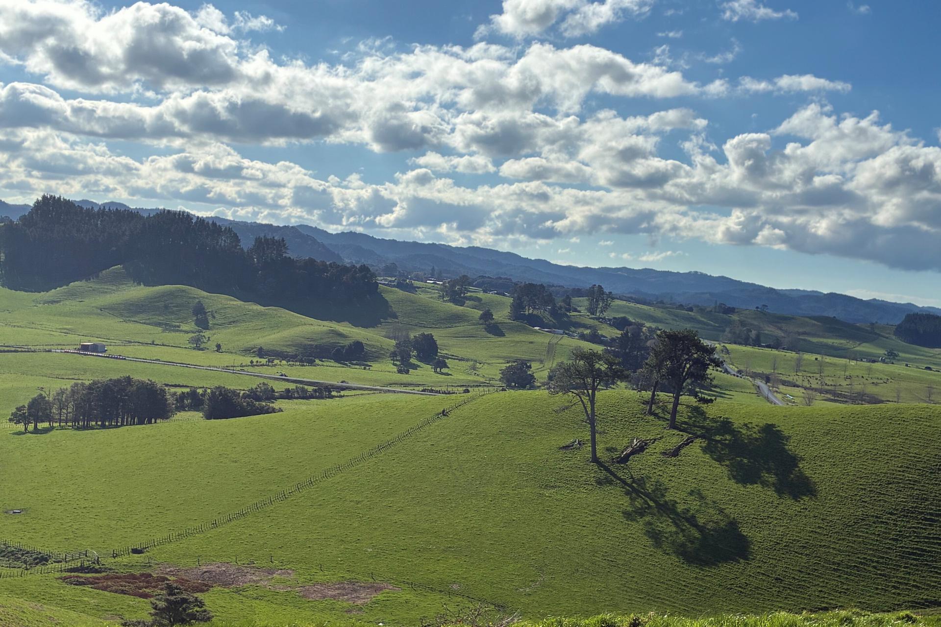 643 Whareora Road, Whareora