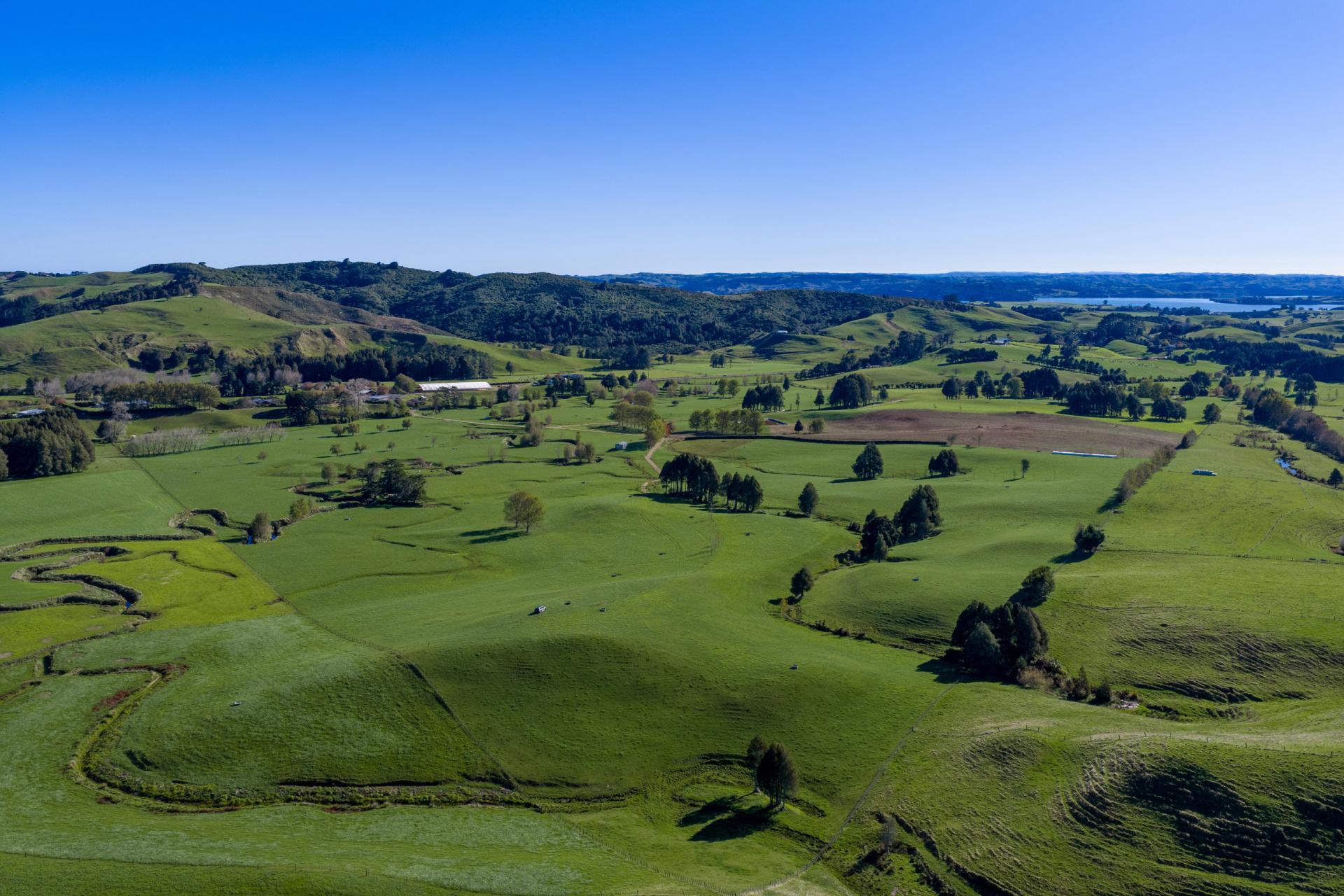 141 Te Mata Road, Raglan
