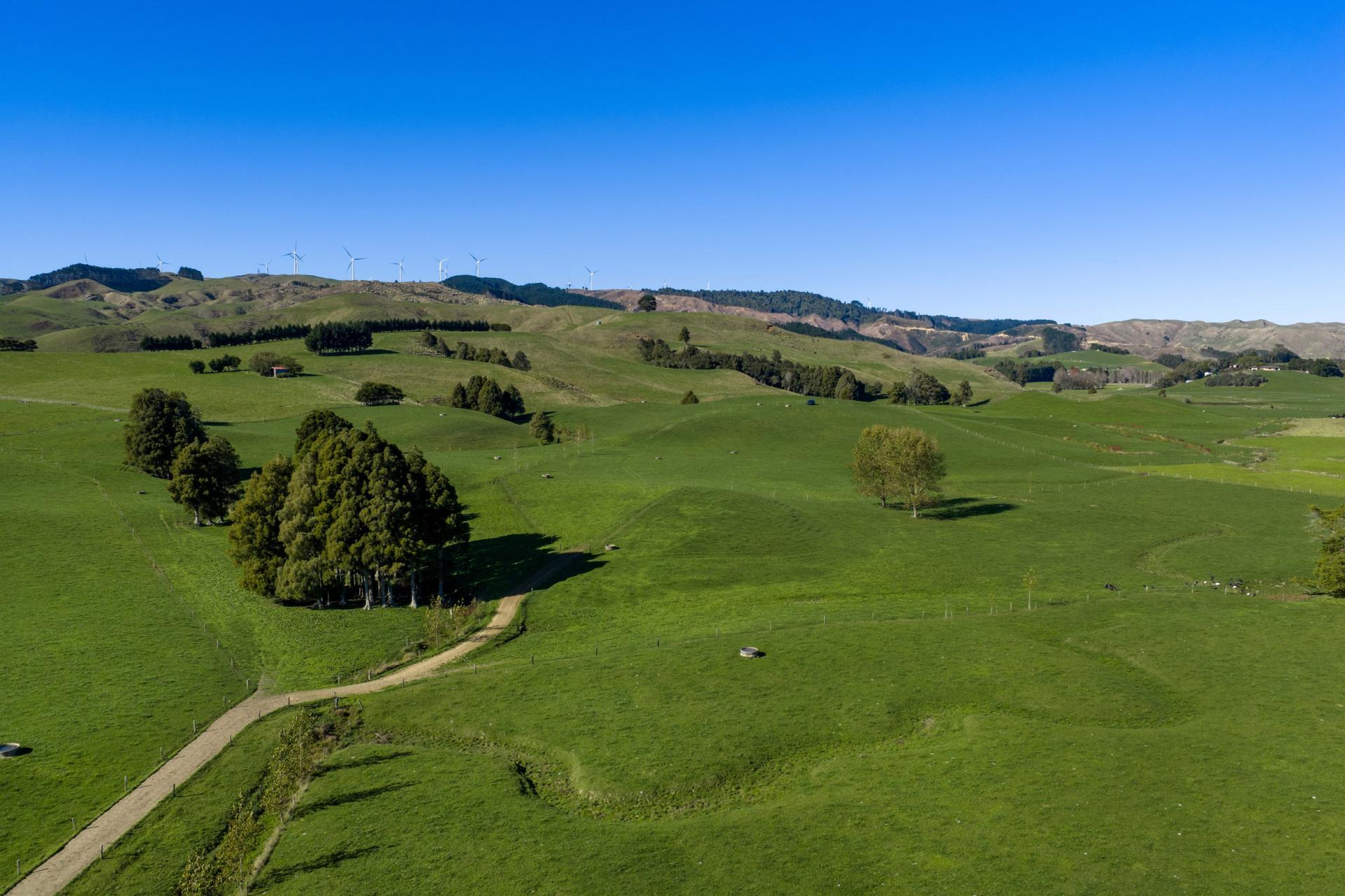 141 Te Mata Road, Raglan