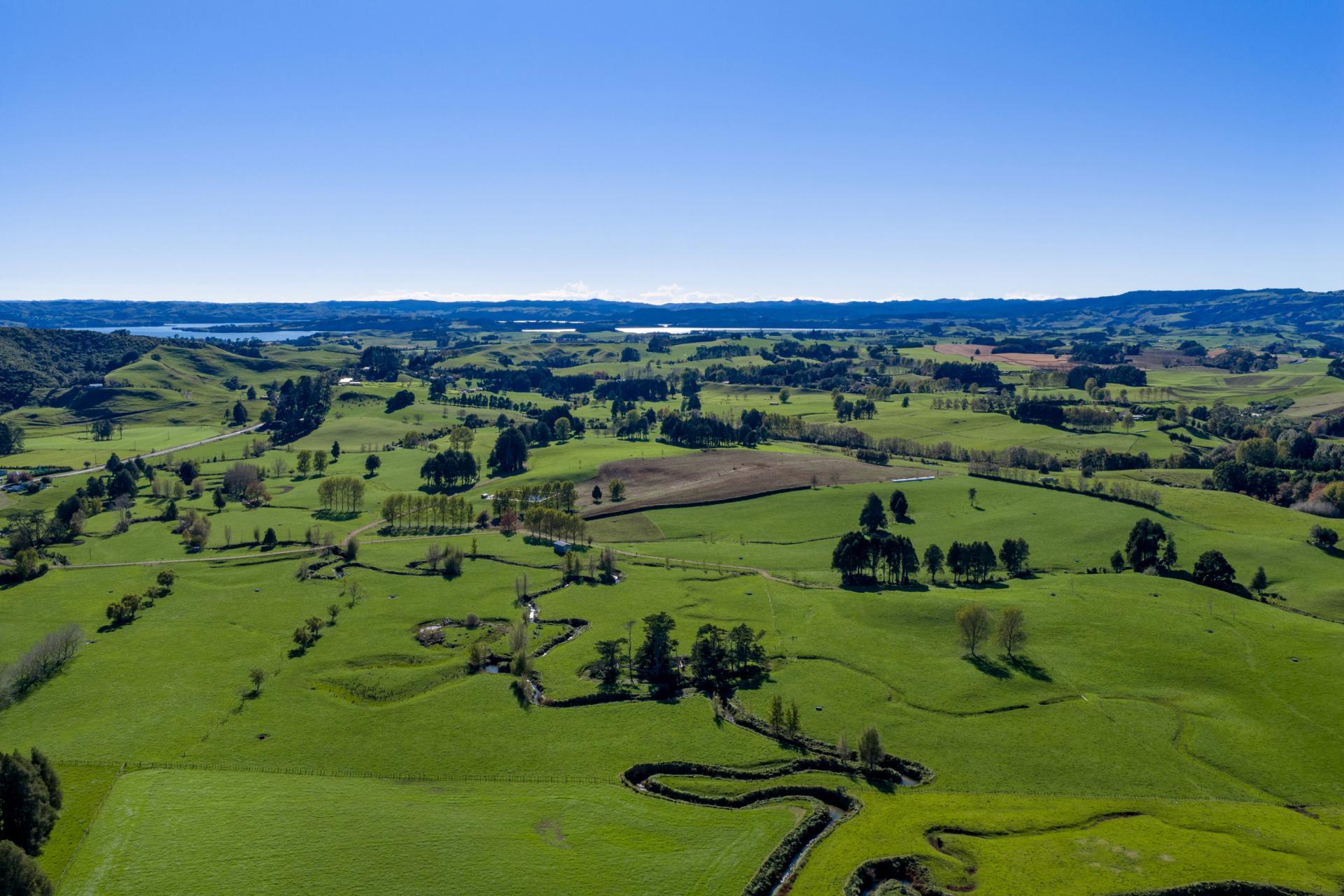 141 Te Mata Road, Raglan