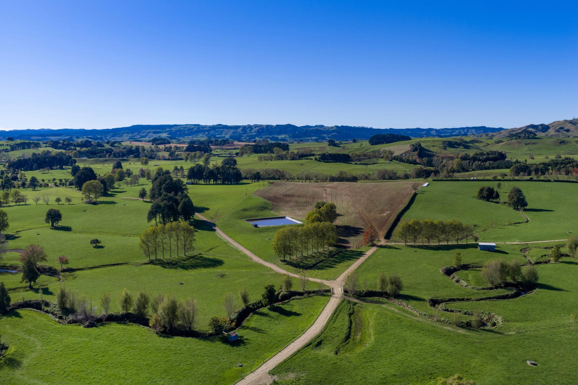 141 Te Mata Road, Raglan